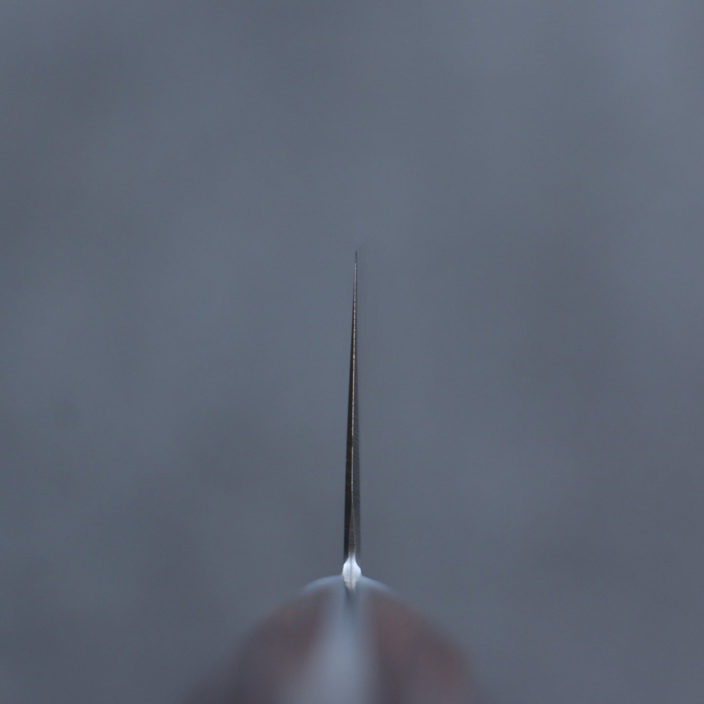 清助 SG2 鎚目 切付牛刀包丁  210mm マホガニー柄 - 清助刃物