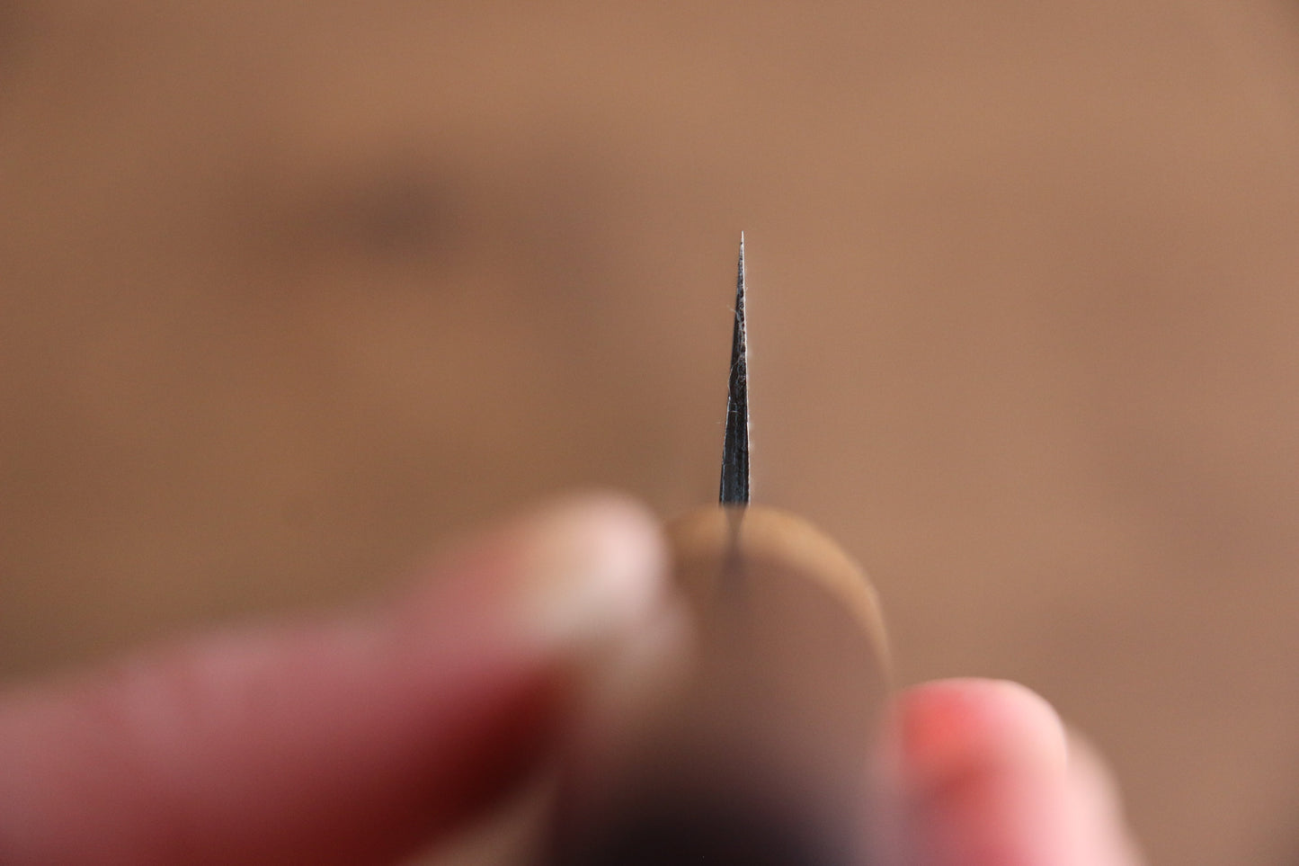 清助 黒白 青スーパー鋼 鎚目 黒打 筋引包丁 240mm 紫檀柄 - 清助刃物