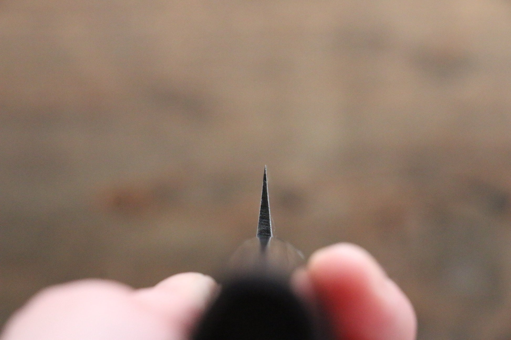 岩井 貴行 青ニ鋼 黒打 柳刃包丁  210mm 紫檀柄 - 清助刃物