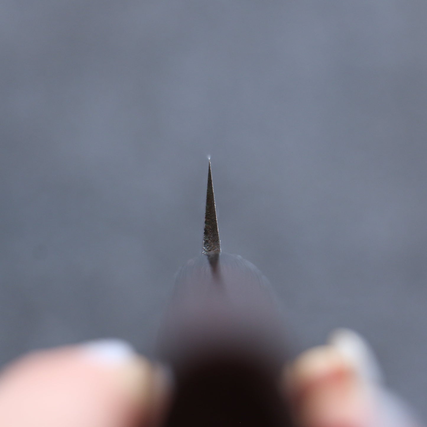 清助 V金1号 霞研 柳刃包丁 240mm 紫檀柄 - 清助刃物