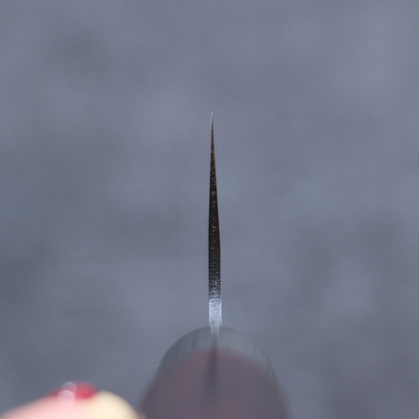 三寿ゞ V金10号 霞研 切付牛刀包丁 210mm 茶色漆塗り柄 - 清助刃物