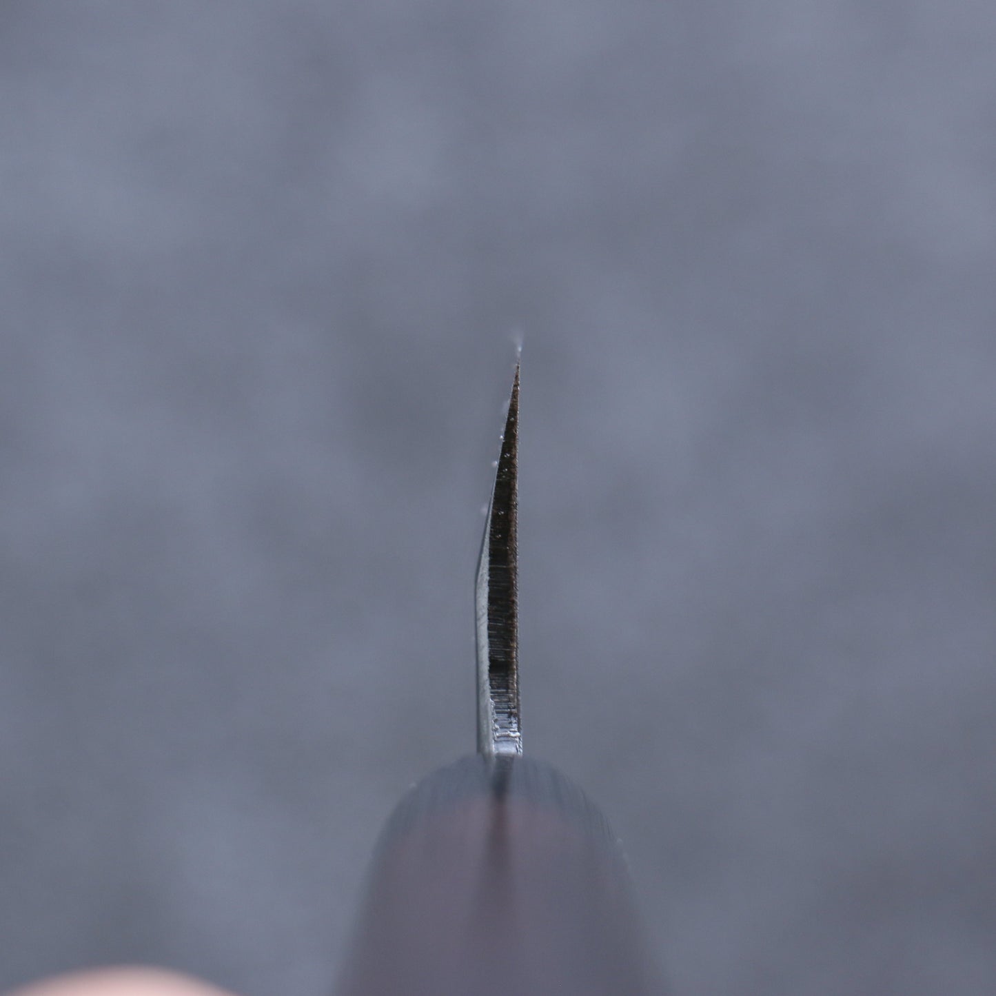 清助 青紙 霞研 舟行包丁 165mm 紫檀柄 - 清助刃物