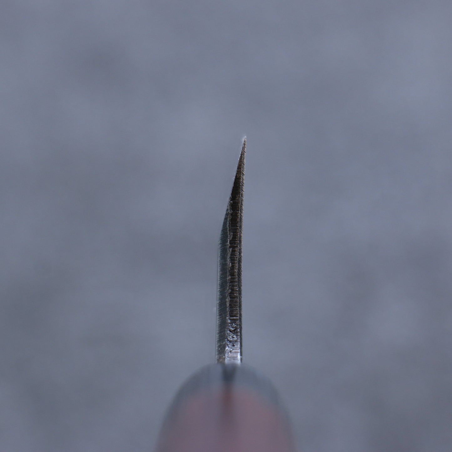 清助 白鋼 霞研 舟行包丁 180mm 紫檀柄 - 清助刃物