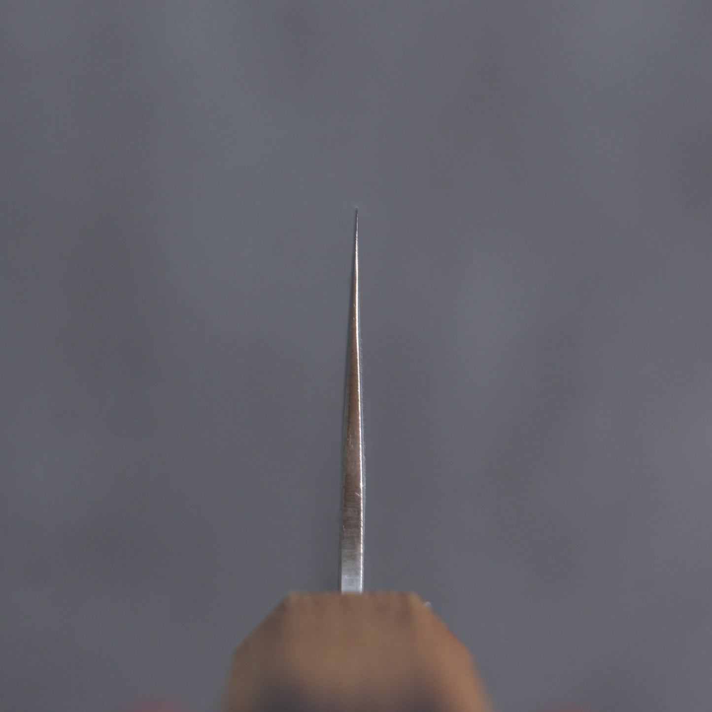 清助 SLD鋼 和紙地 牛刀包丁 210mm 樫焼柄 - 清助刃物