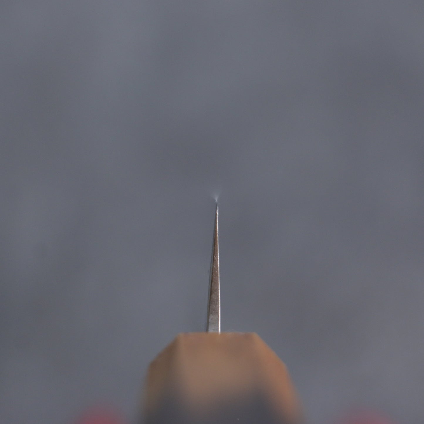 清助 SLD鋼 和紙地 筋引包丁 240mm 樫焼柄 - 清助刃物