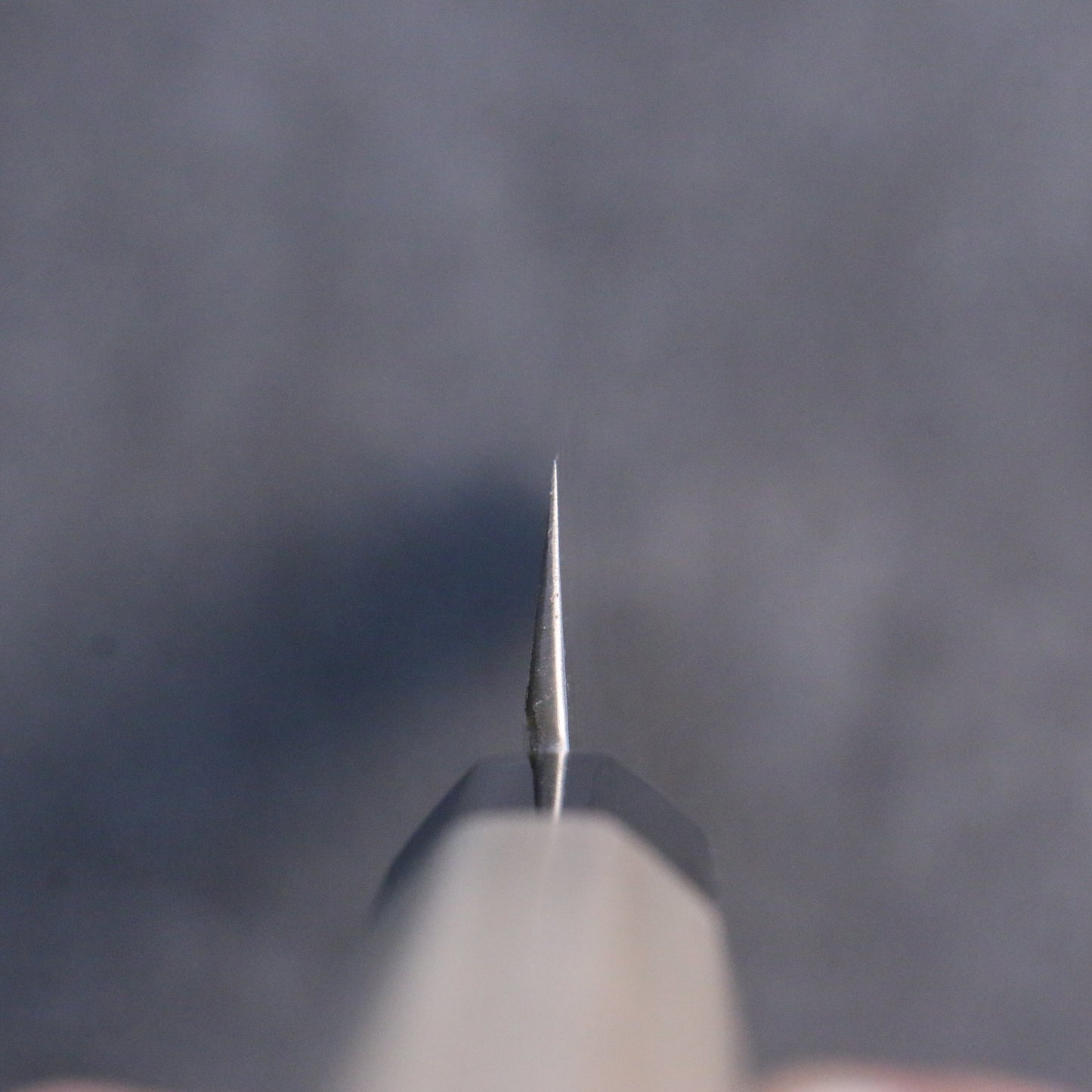 菊月 銀三鋼 暈し 先丸蛸引包丁 270mm 朴柄 - 清助刃物