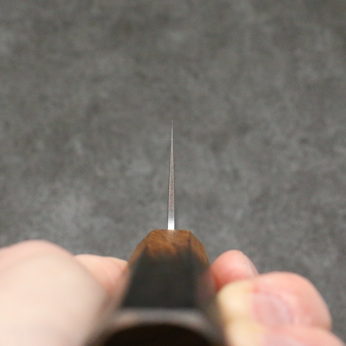 清助 SLD鋼 和紙地 牛刀包丁 240mm 樫焼柄 - 清助刃物