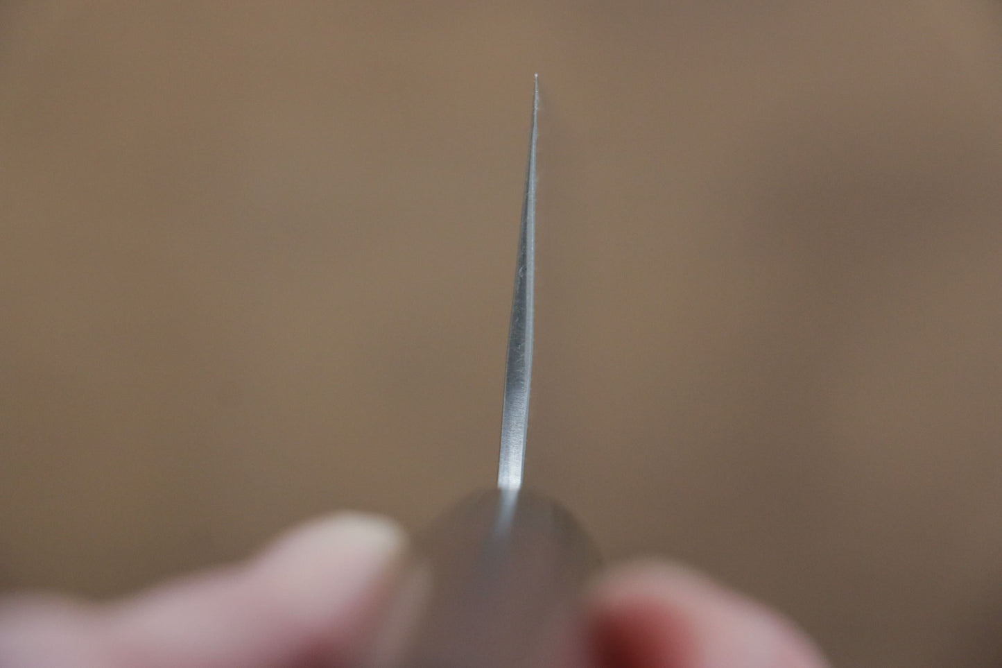 尾形 峻吾 SG2 牛刀包丁 210mm 紫檀柄 - 清助刃物