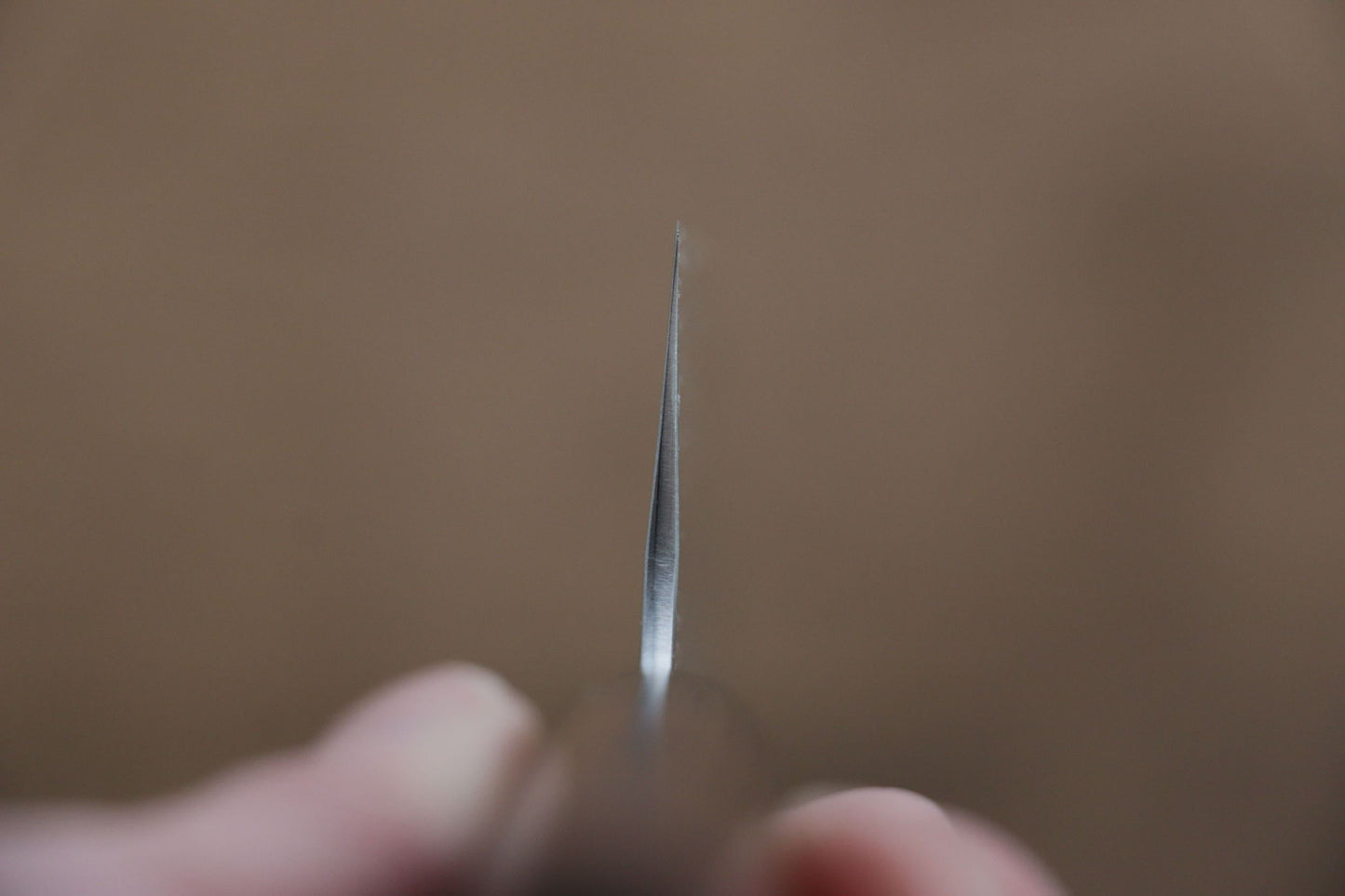 尾形 峻吾 SG2 筋引包丁  240mm 紫檀柄 - 清助刃物