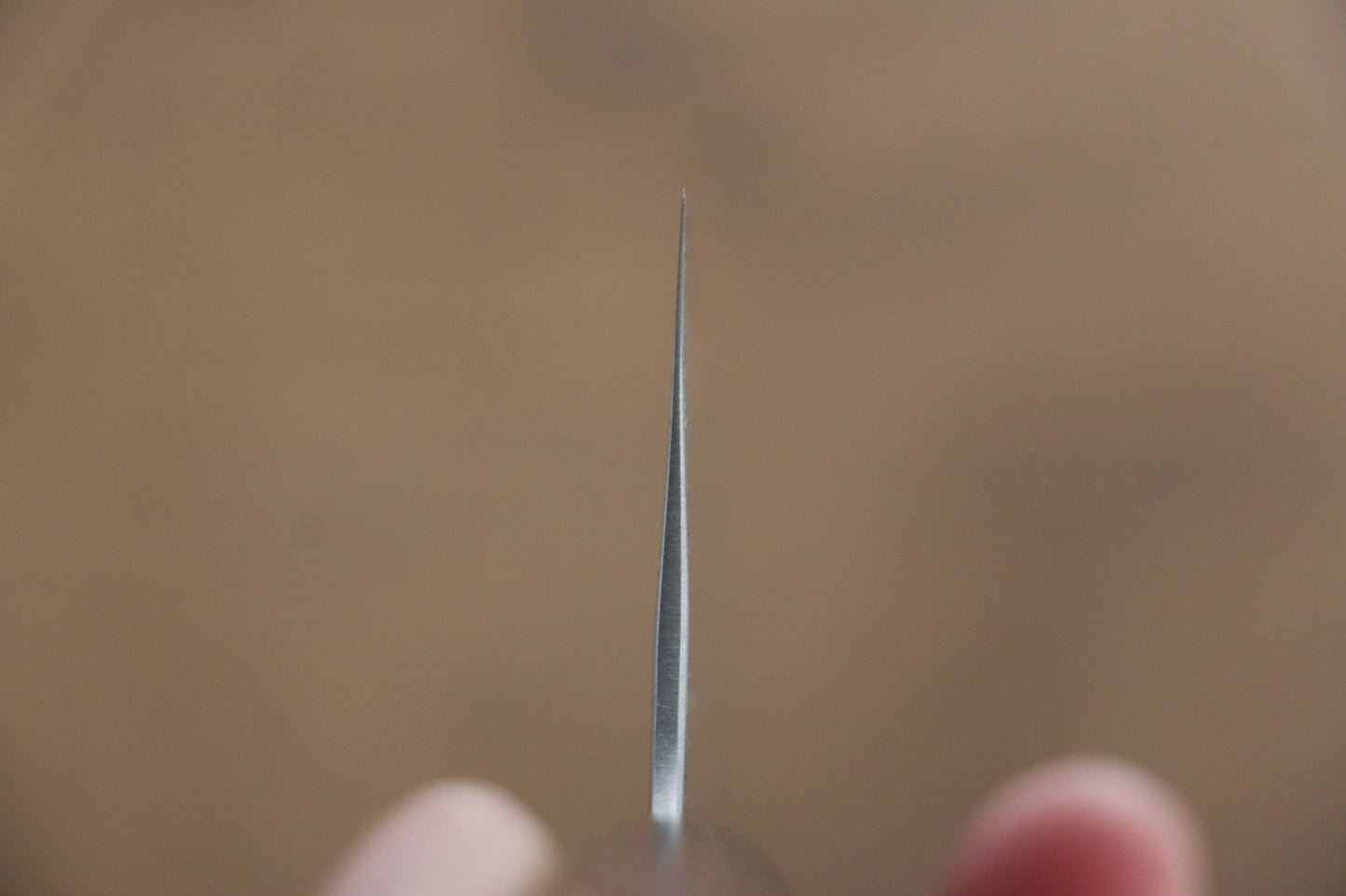 尾形 峻吾 SG2 牛刀包丁  240mm 紫檀柄 - 清助刃物