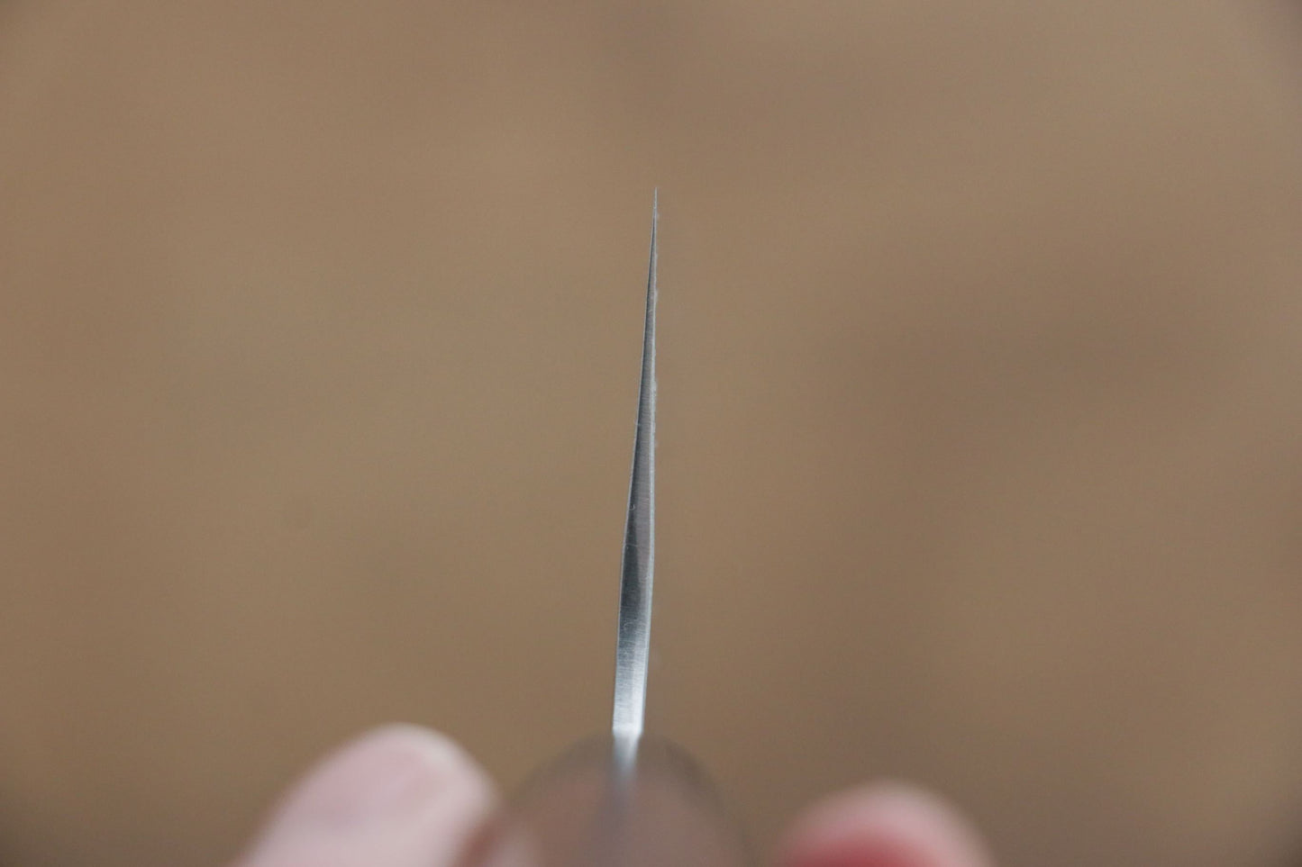 尾形 峻吾 SG2 文化包丁  180mm 紫檀柄 - 清助刃物