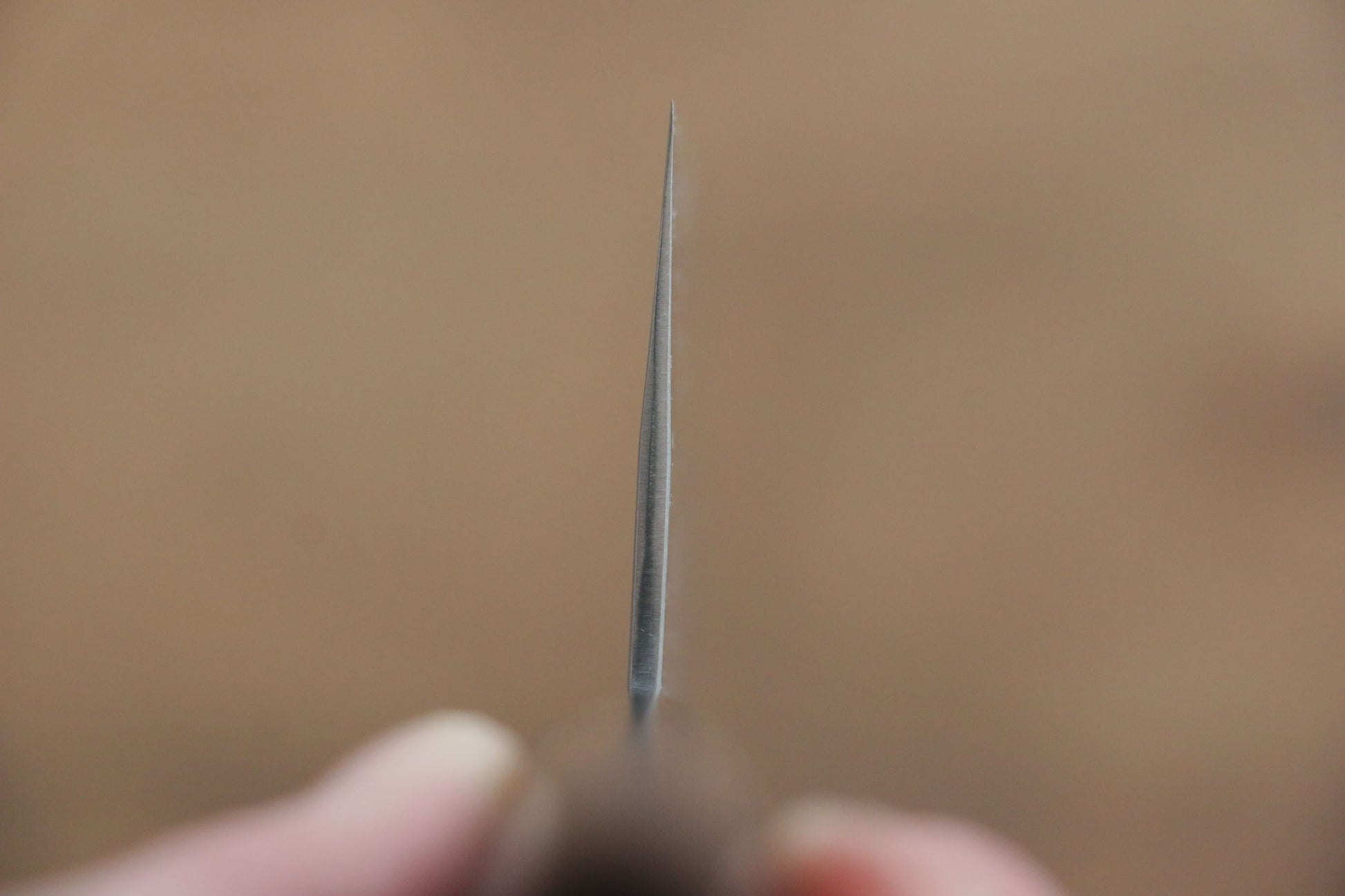 尾形 峻吾 SG2 菜切包丁  135mm 紫檀柄 - 清助刃物