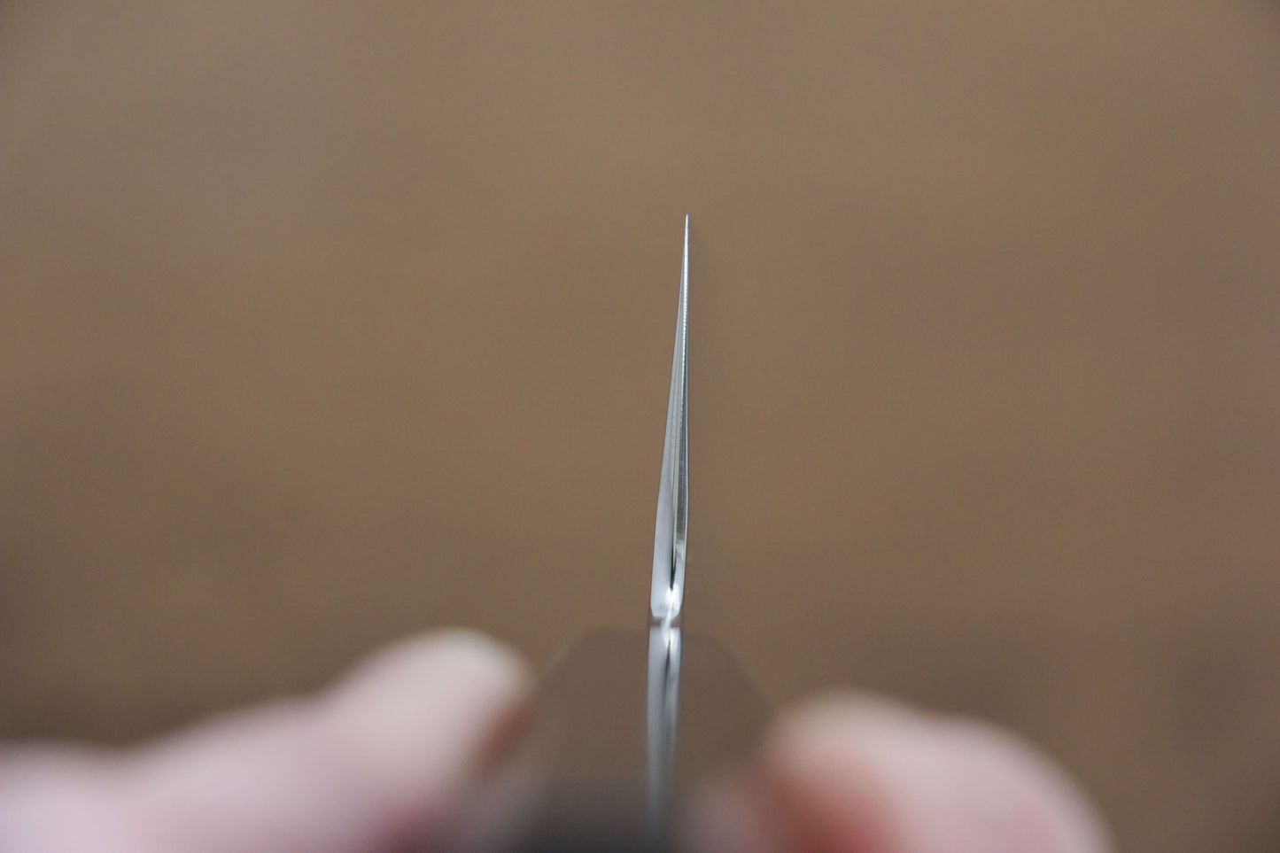 堺 菊守 V金10号 鏡面仕上げ 牛刀包丁 210mm 黒檀柄 - 清助刃物