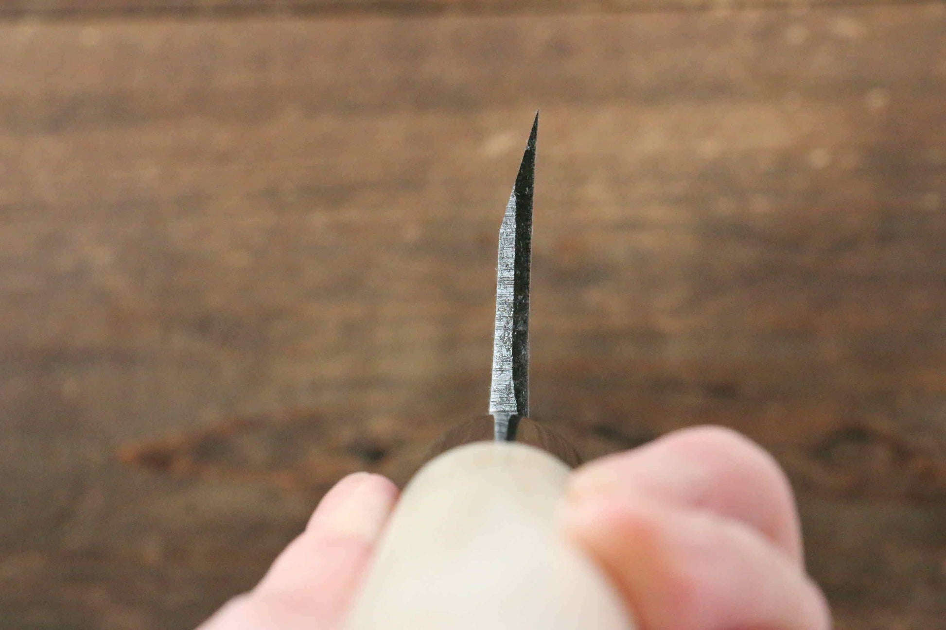 堺 孝行 霞研 白鋼 エビの彫刻入り 出刃包丁  朴柄 - 清助刃物