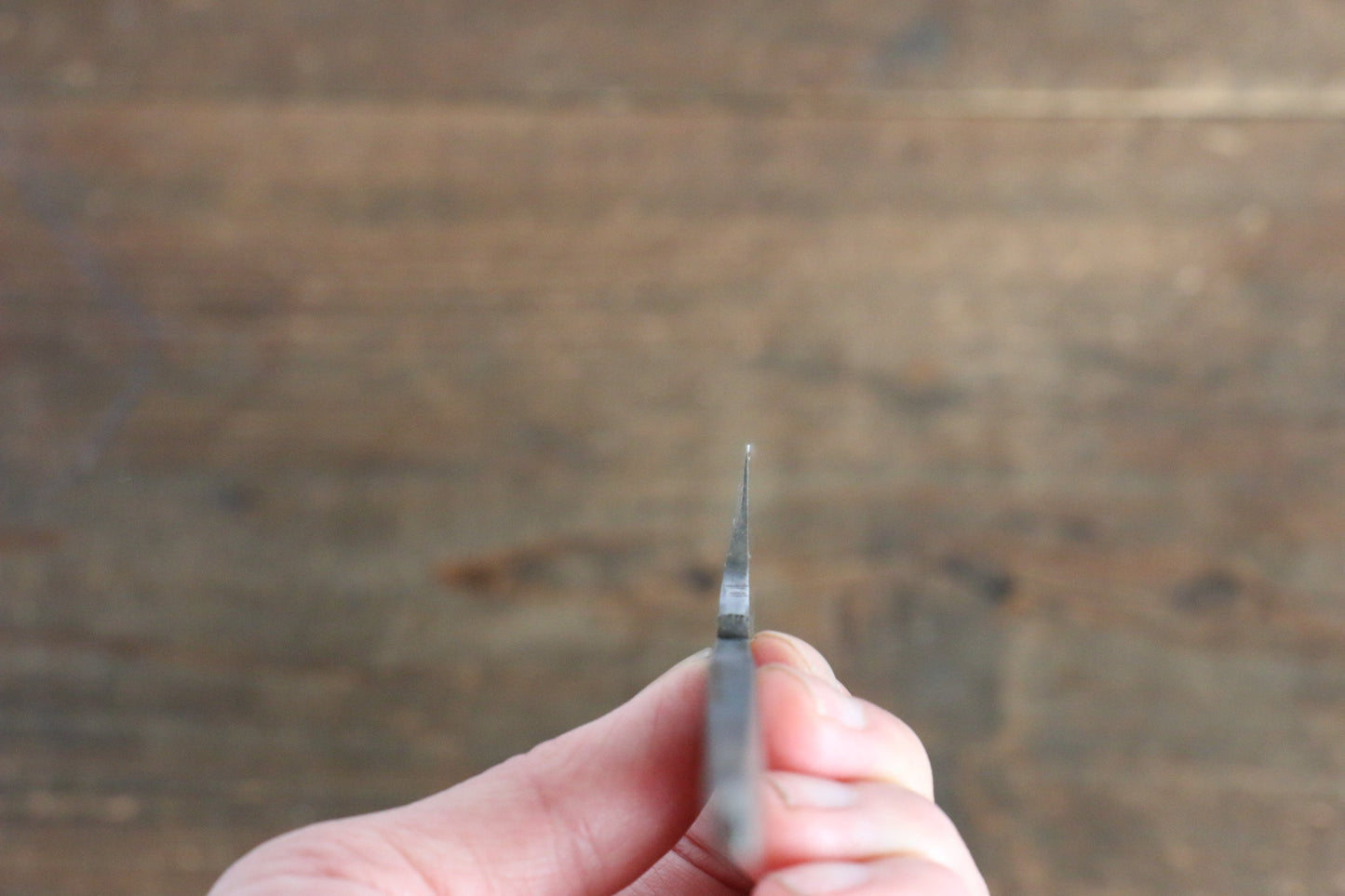 源 昭忠 青鋼DX(青一鋼) 柳刃包丁 240mm - 清助刃物