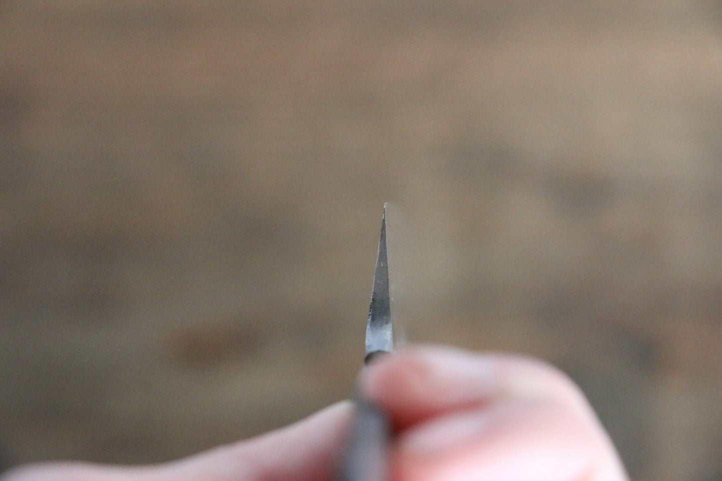 源 昭忠 青鋼DX(青一鋼) 柳刃包丁 210mm - 清助刃物