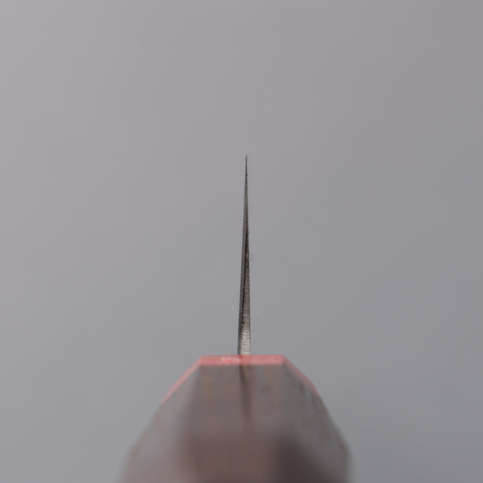 堺 孝行 グランドシェフ アンタレス スウェーデン鋼 筋引包丁 270mm ウエンジ柄 - 清助刃物