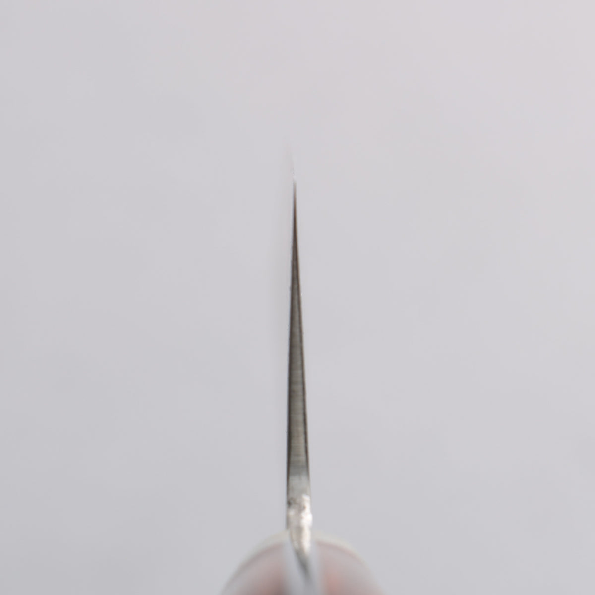 田中 誠貴 SG2 ダマスカス 牛刀包丁 210mm アイアンウッド柄 - 清助刃物