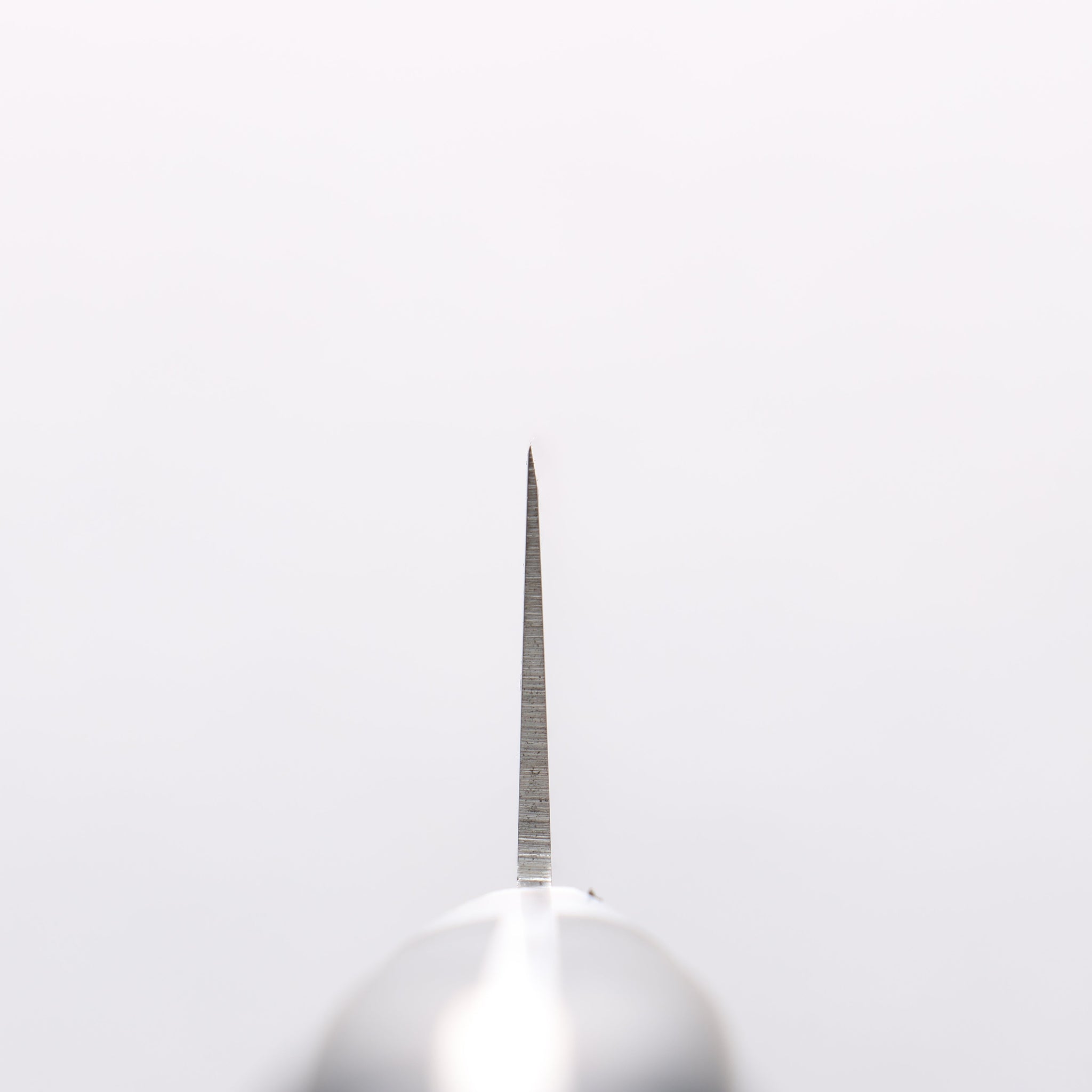 堺 孝行 【左利き用】 日本鋼 筋引包丁 270mm - 清助刃物