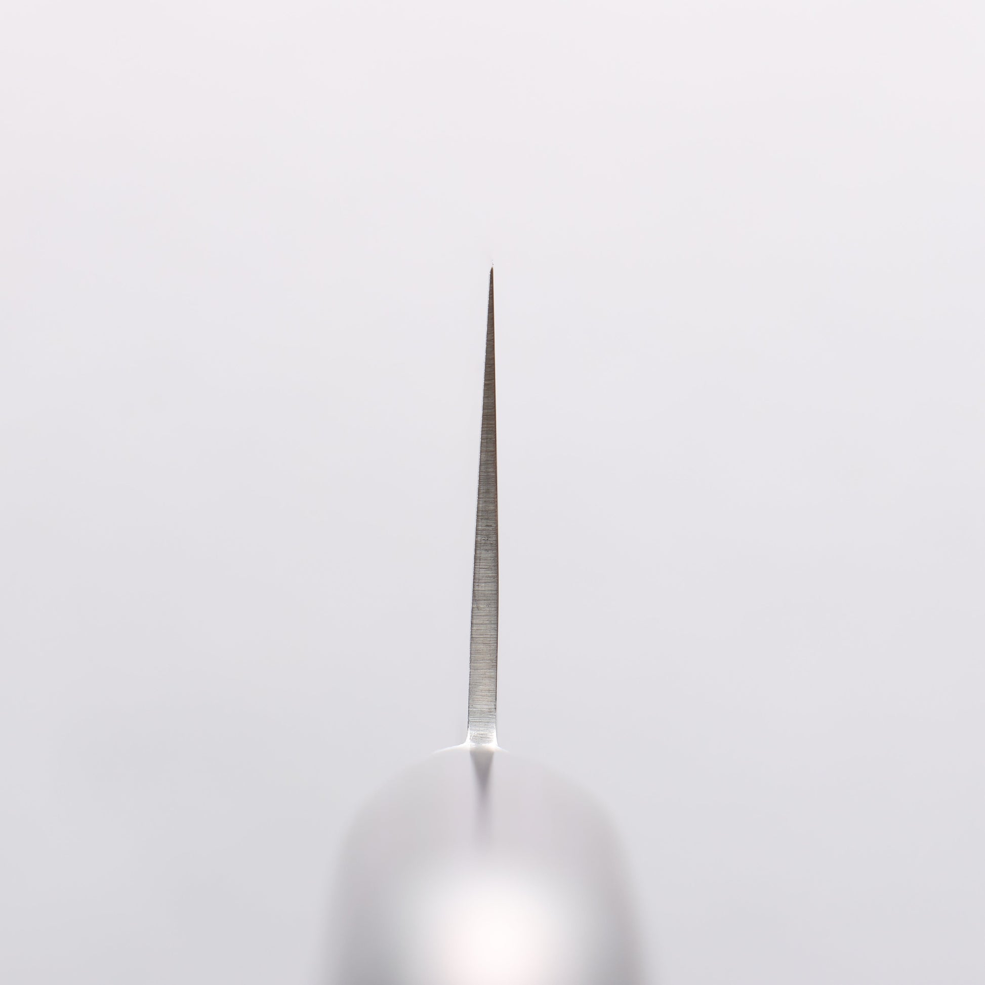 樋口 SG2 三徳包丁 180mm 合板 (紺色)柄 - 清助刃物