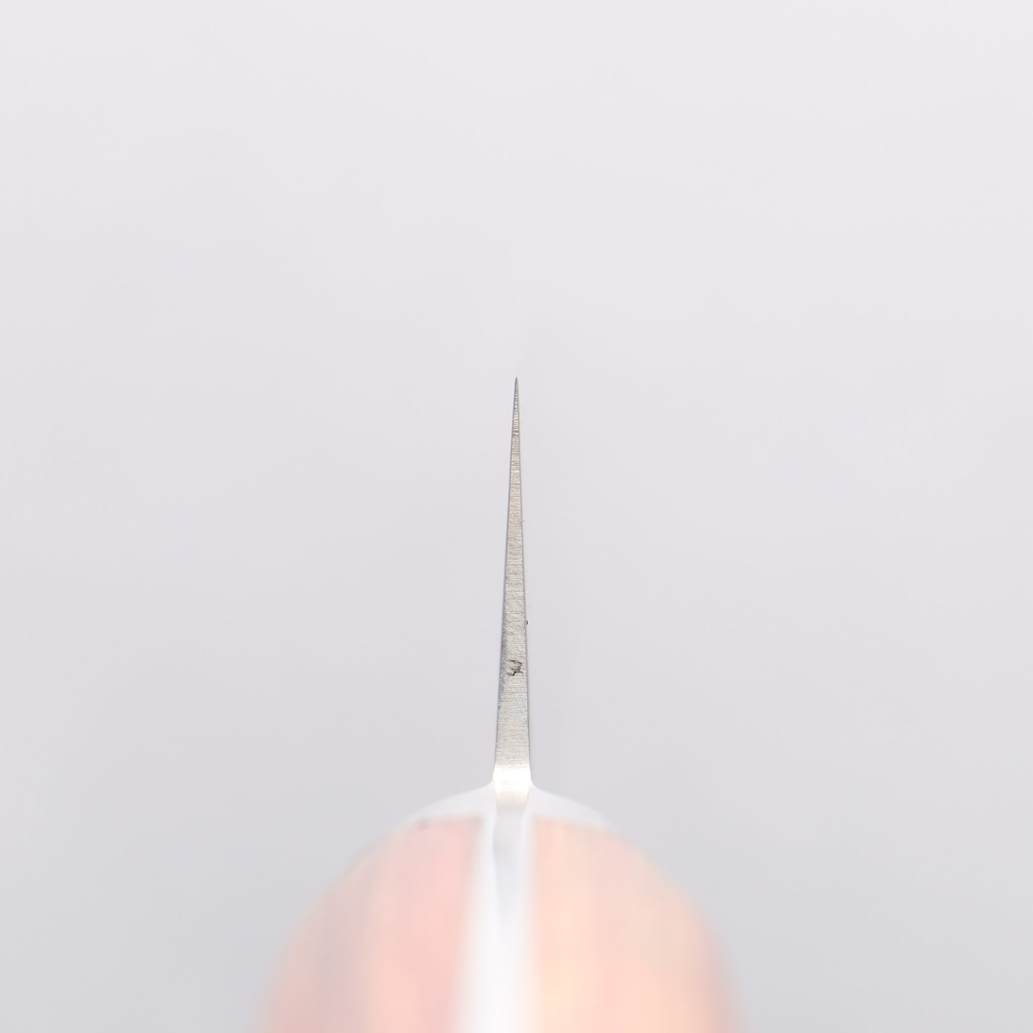 堺 孝行 V金5号 鎚目 筋引包丁 240mm 茶合板柄 - 清助刃物