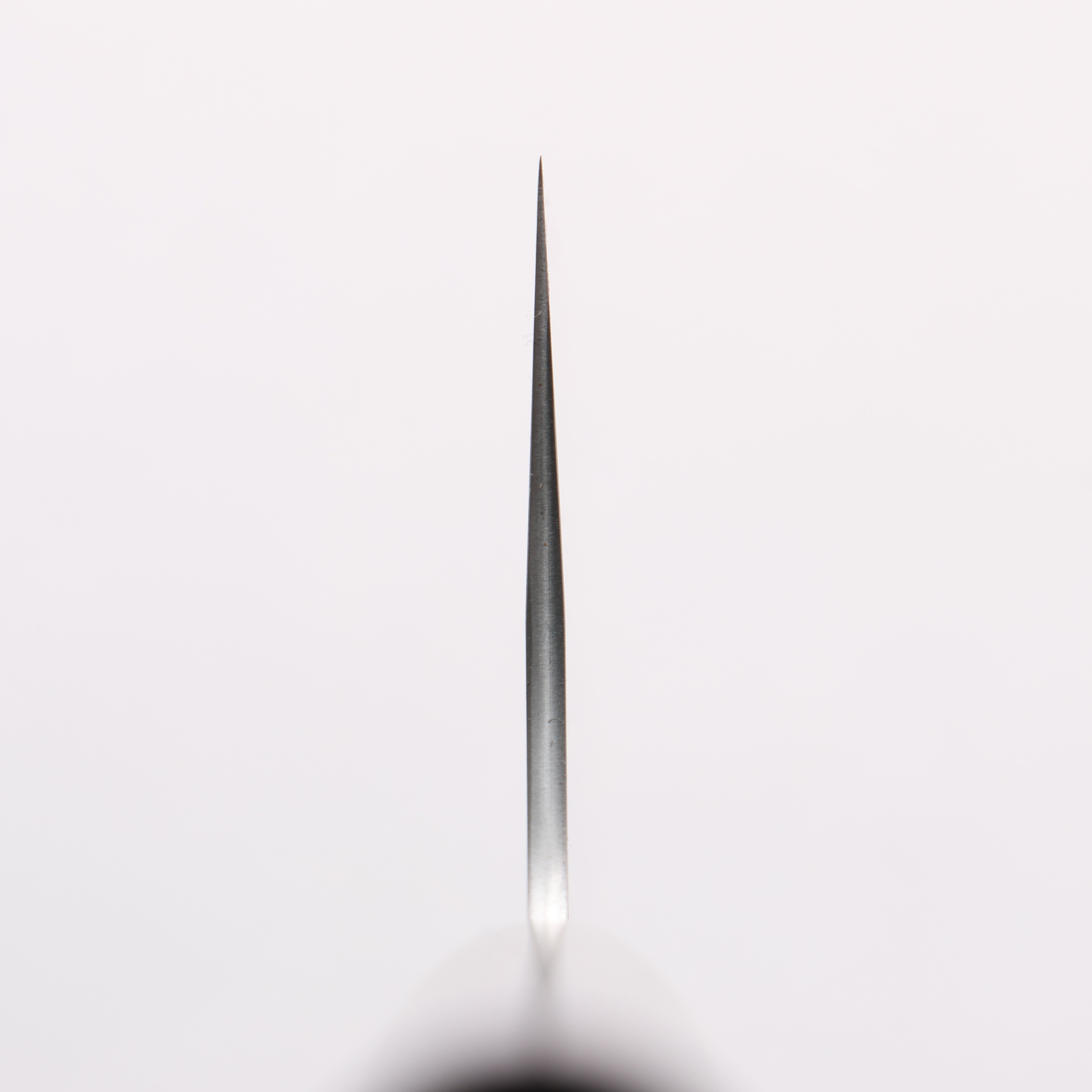 尾形 峻吾 SG2 研出 牛刀包丁 240mm 紫檀柄 - 清助刃物