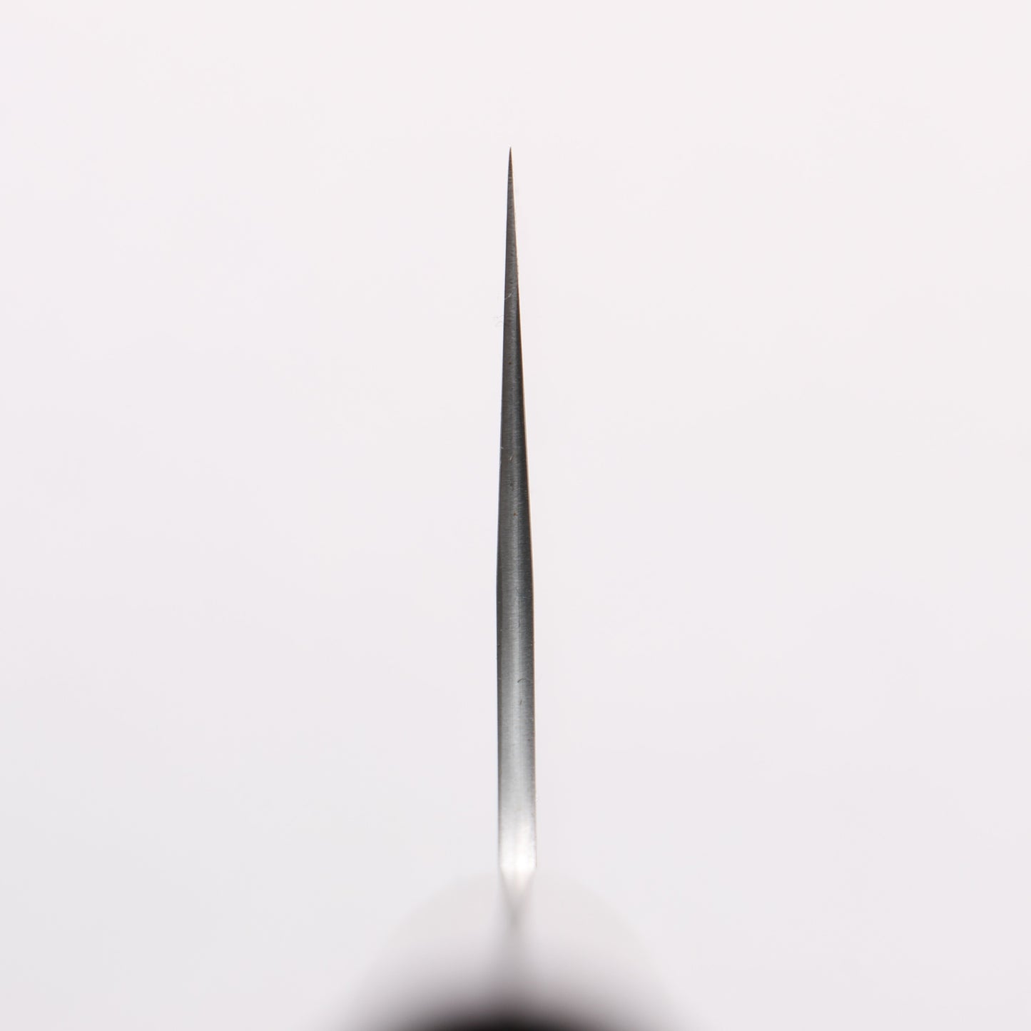 尾形 峻吾 SG2 研出 牛刀包丁 240mm 紫檀柄 - 清助刃物