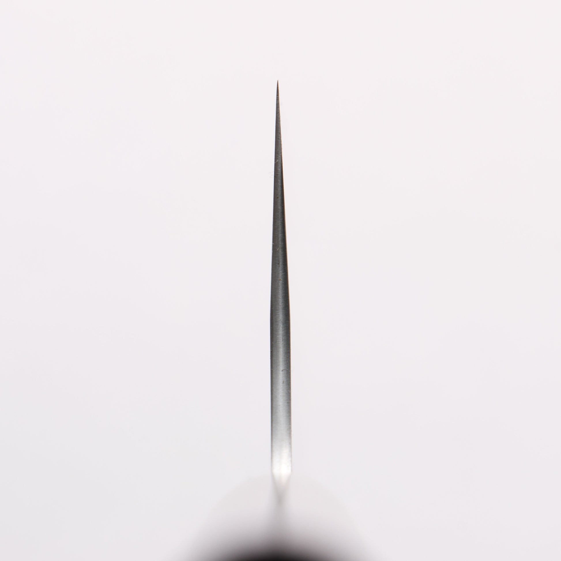 尾形 峻吾 SG2 研出 牛刀包丁 240mm 紫檀柄 - 清助刃物