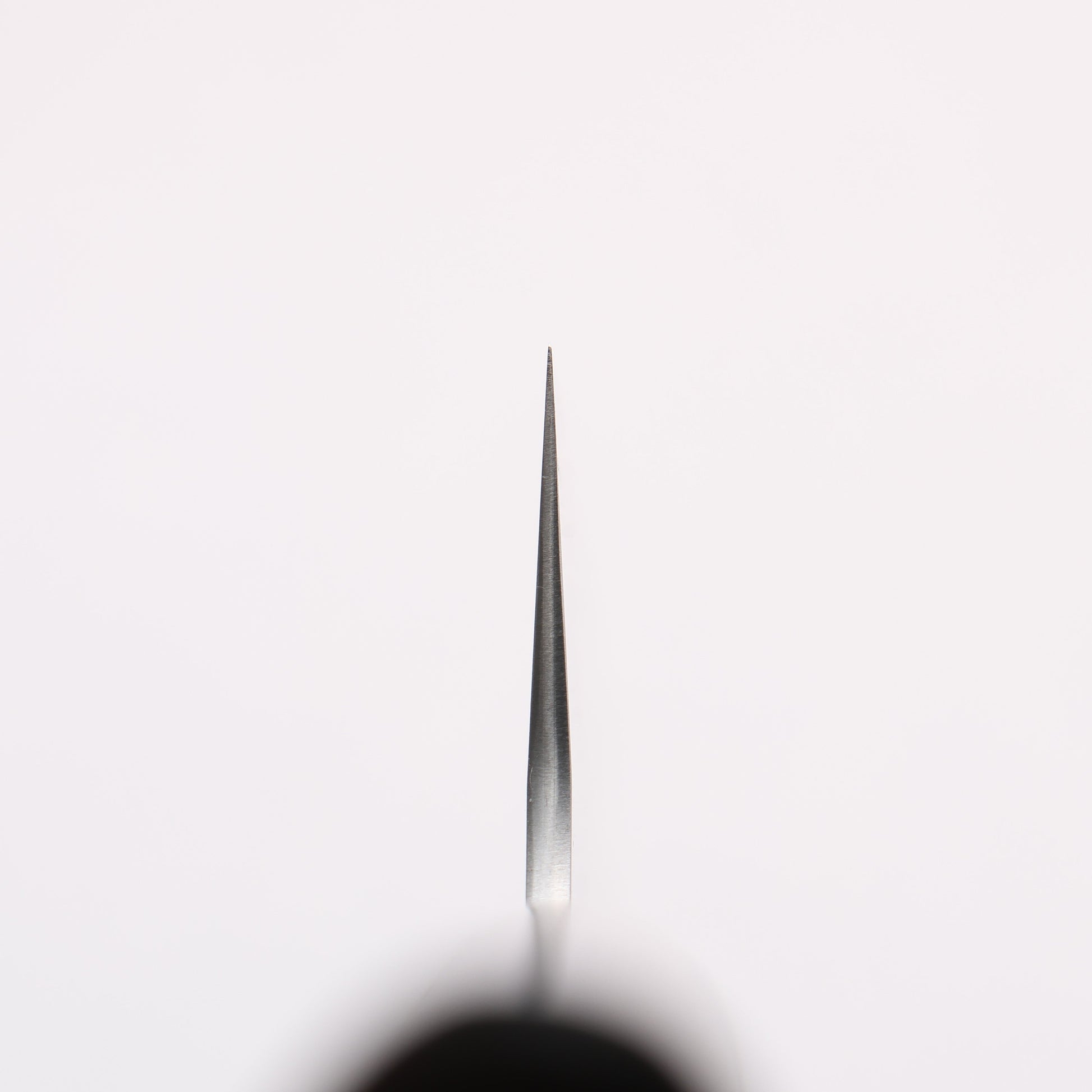 尾形 峻吾 SG2 研出 筋引包丁 240mm 紫檀柄 - 清助刃物