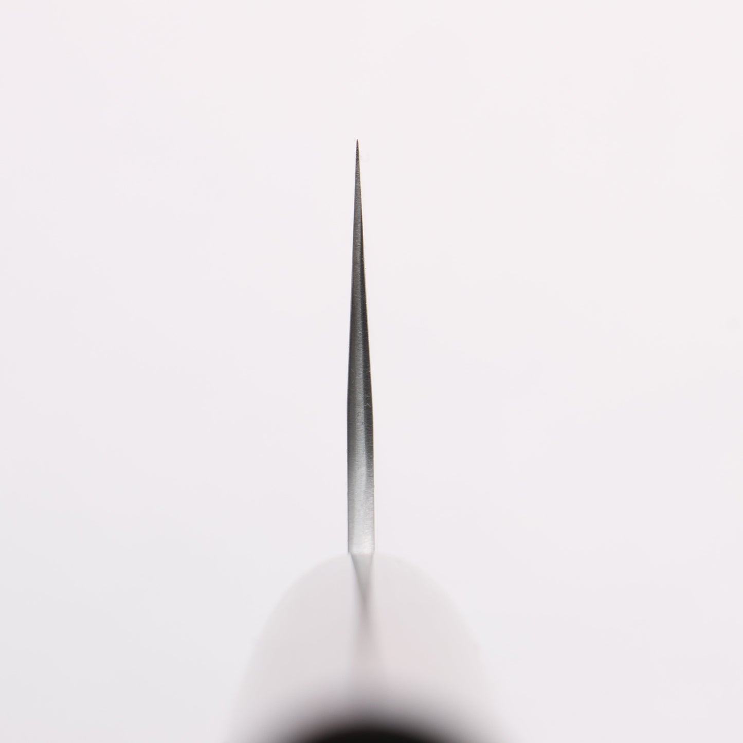 尾形 峻吾 SG2 研出 牛刀包丁 210mm 紫檀柄 - 清助刃物