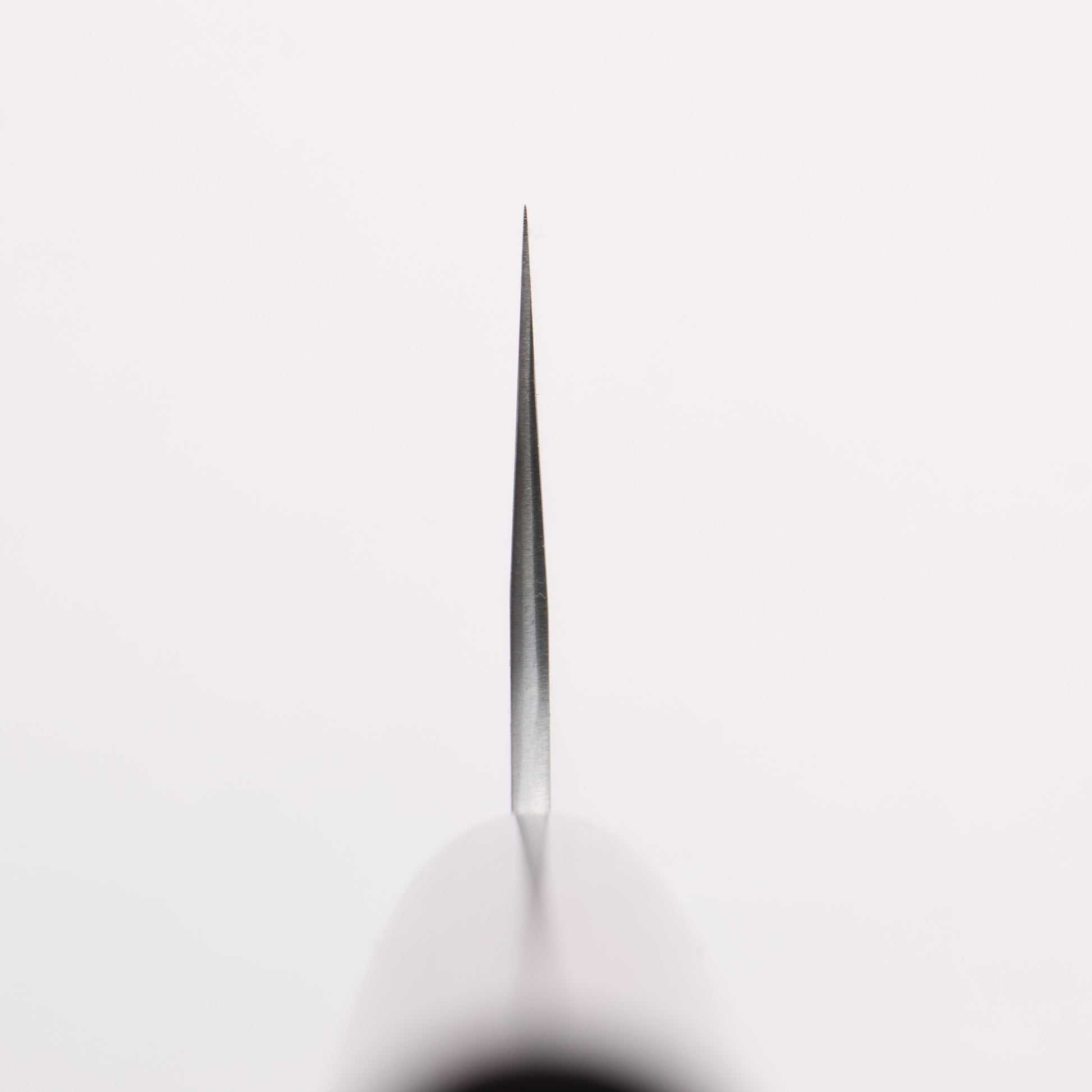 尾形 峻吾 SG2 研出 牛刀包丁 210mm 紫檀柄 - 清助刃物