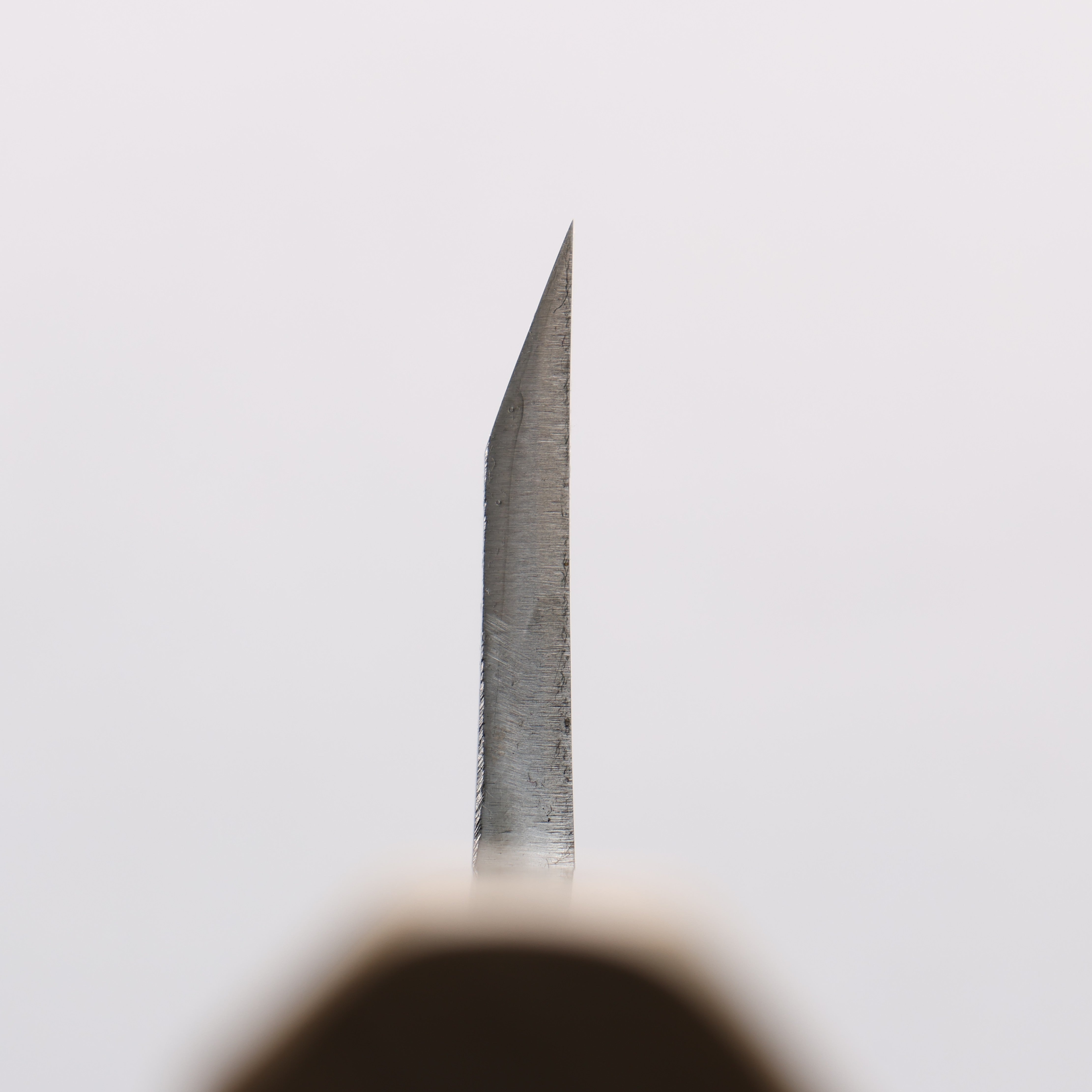 源 昭忠 青ニ鋼 相出刃 165mm 朴 (口輪：水牛)柄 - 清助刃物