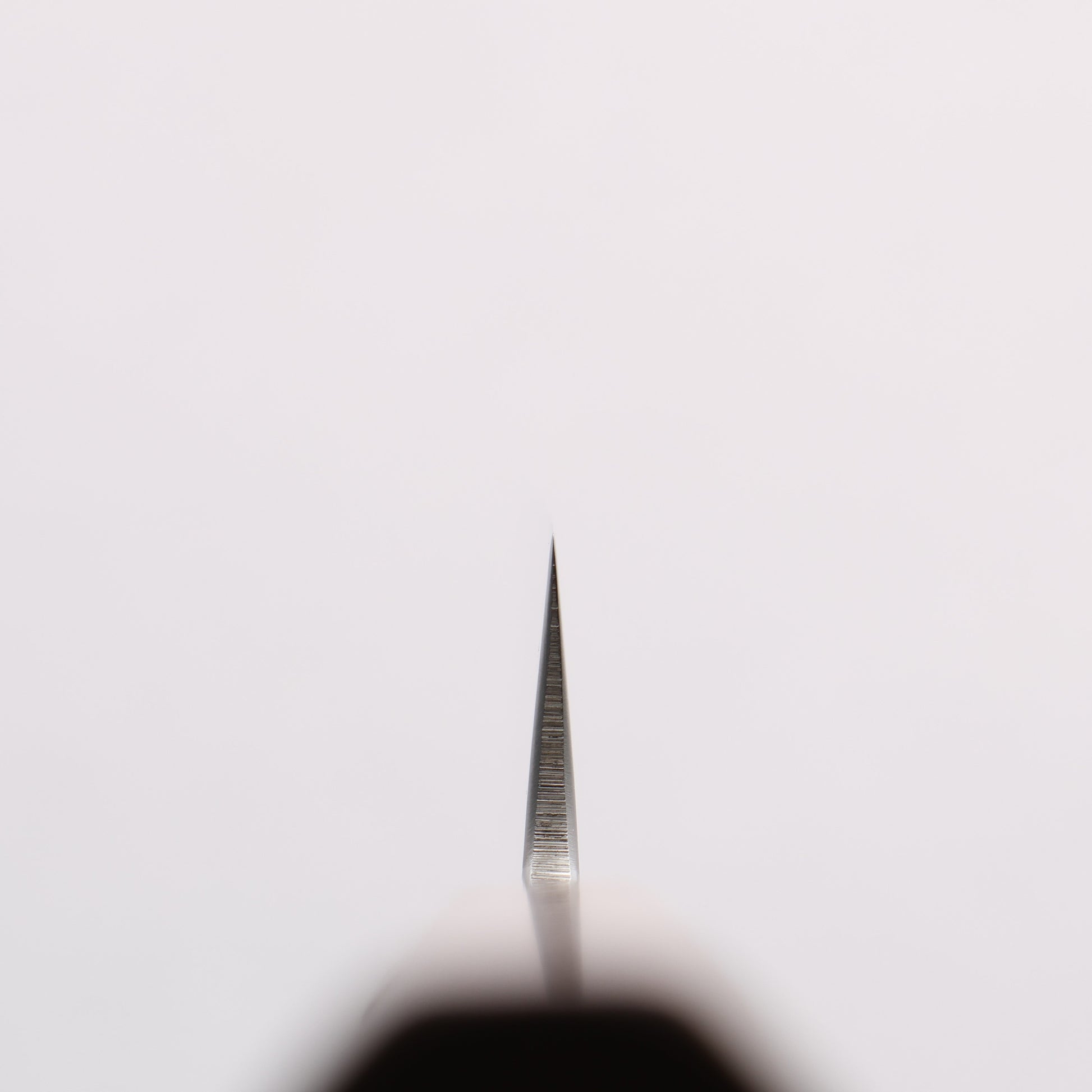 黒鳥 銀三鋼 磨き仕上げ 鰹包丁 210mm ウォルナット柄 - 清助刃物