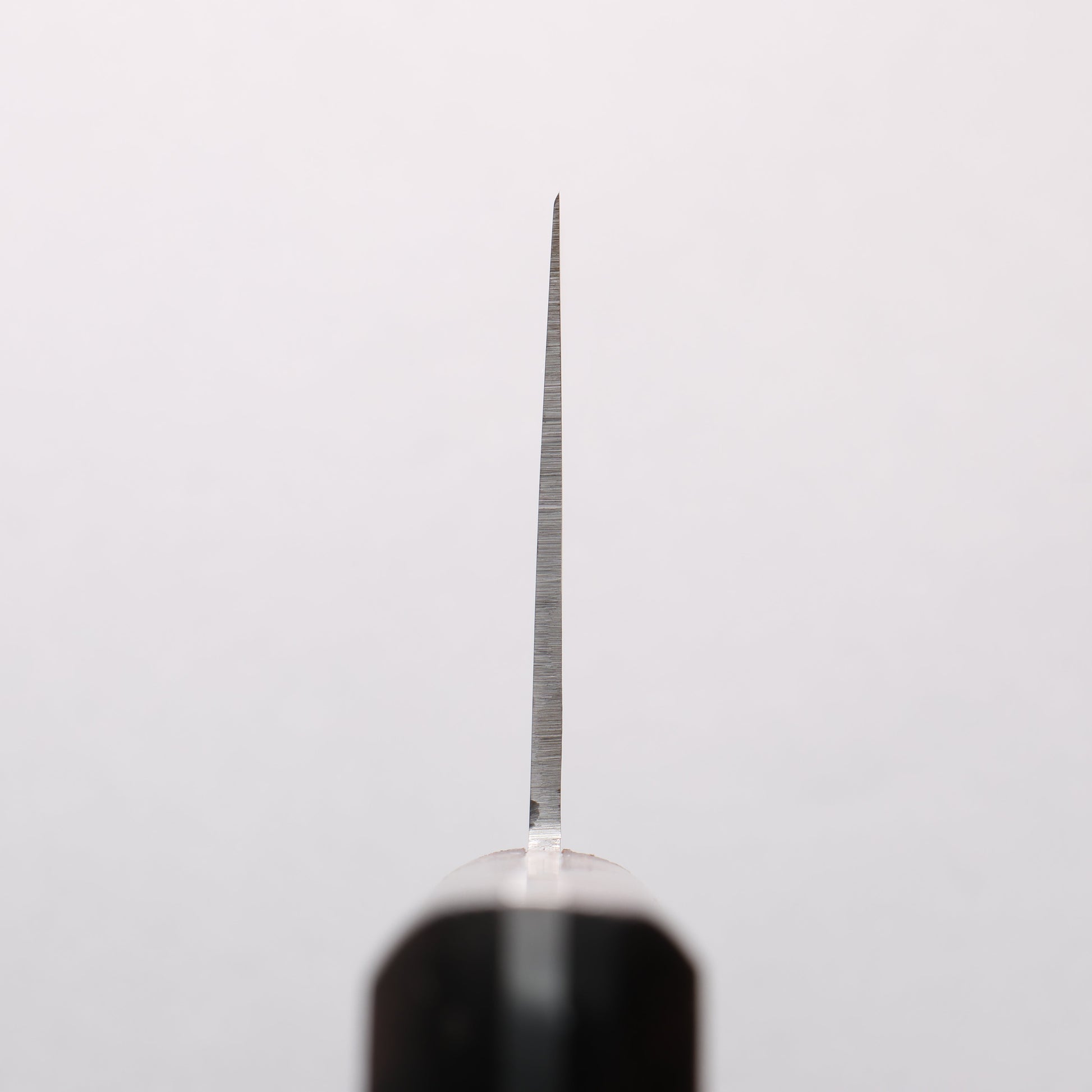 清助 全鋼 中華包丁 220mm 紫檀柄 - 清助刃物