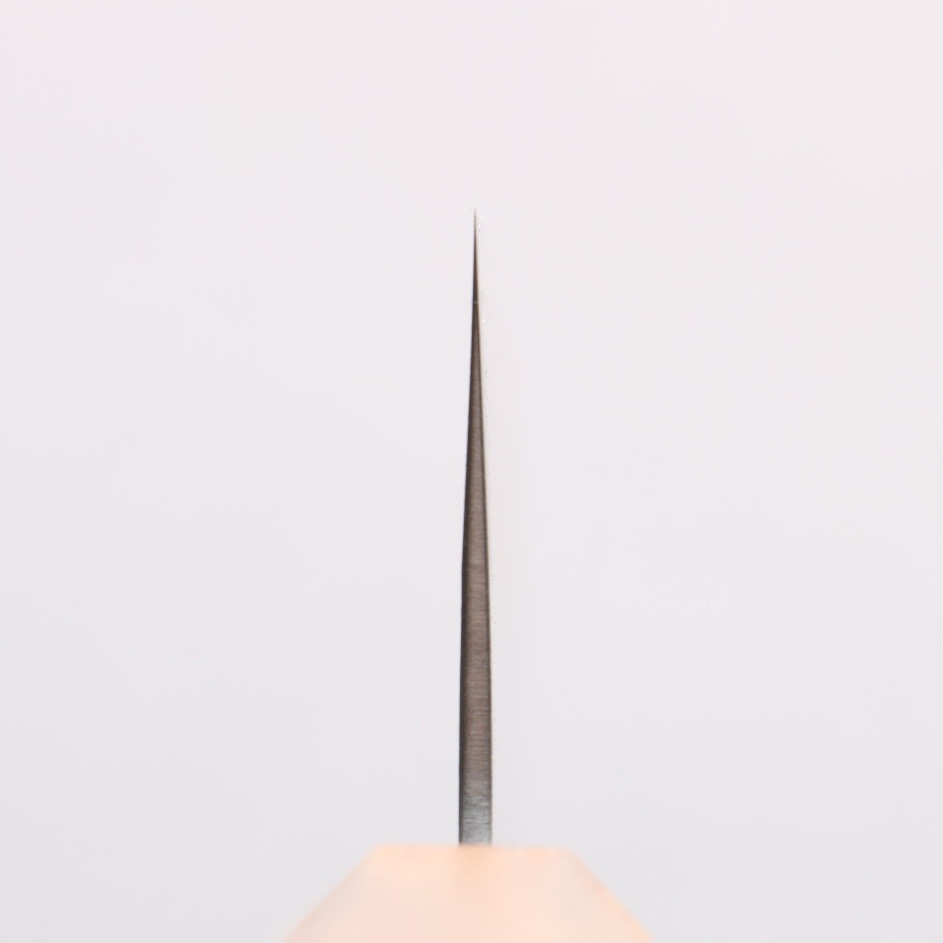 清助 SRS13 磨き（縦ヘアライン） 菜切包丁 165mm 樫柄 - 清助刃物