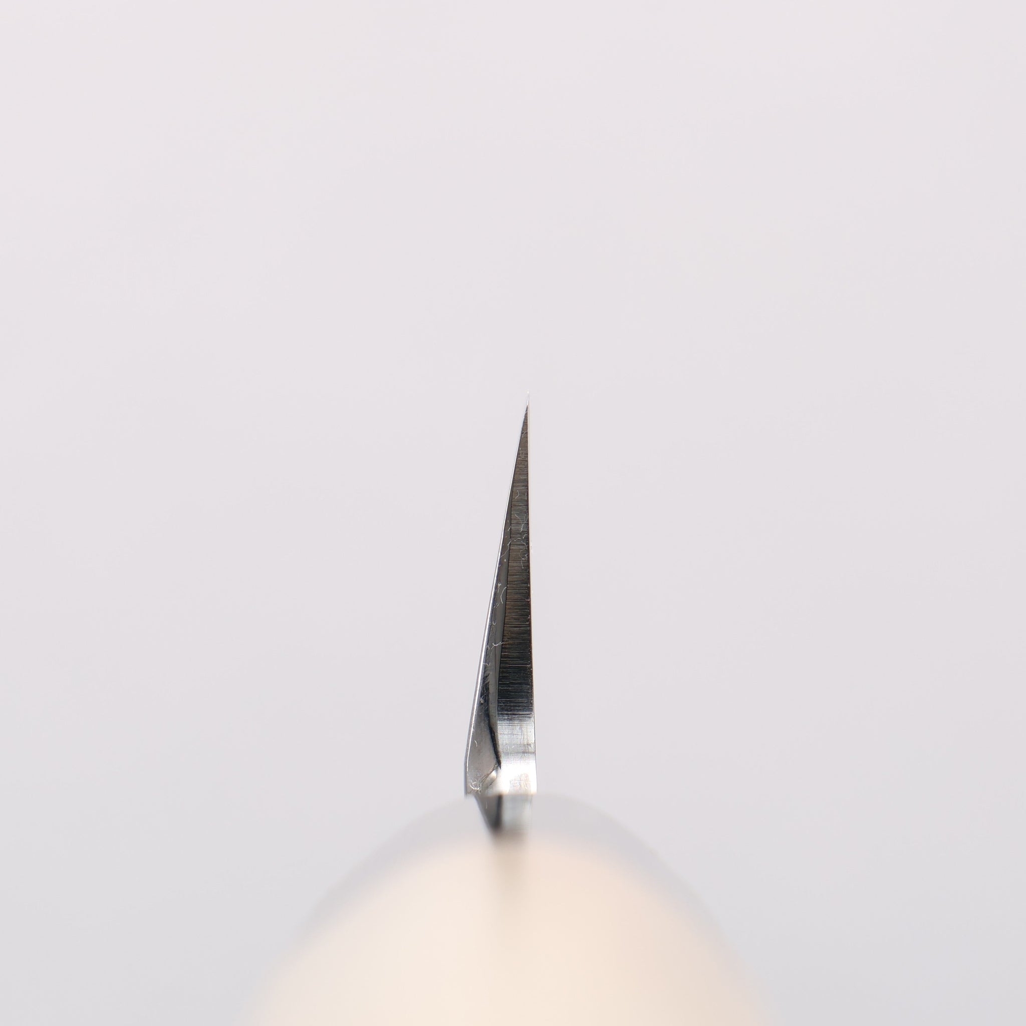 堺 孝行 青ニ鋼 鏡面仕上げ ふぐ引き包丁 - 清助刃物