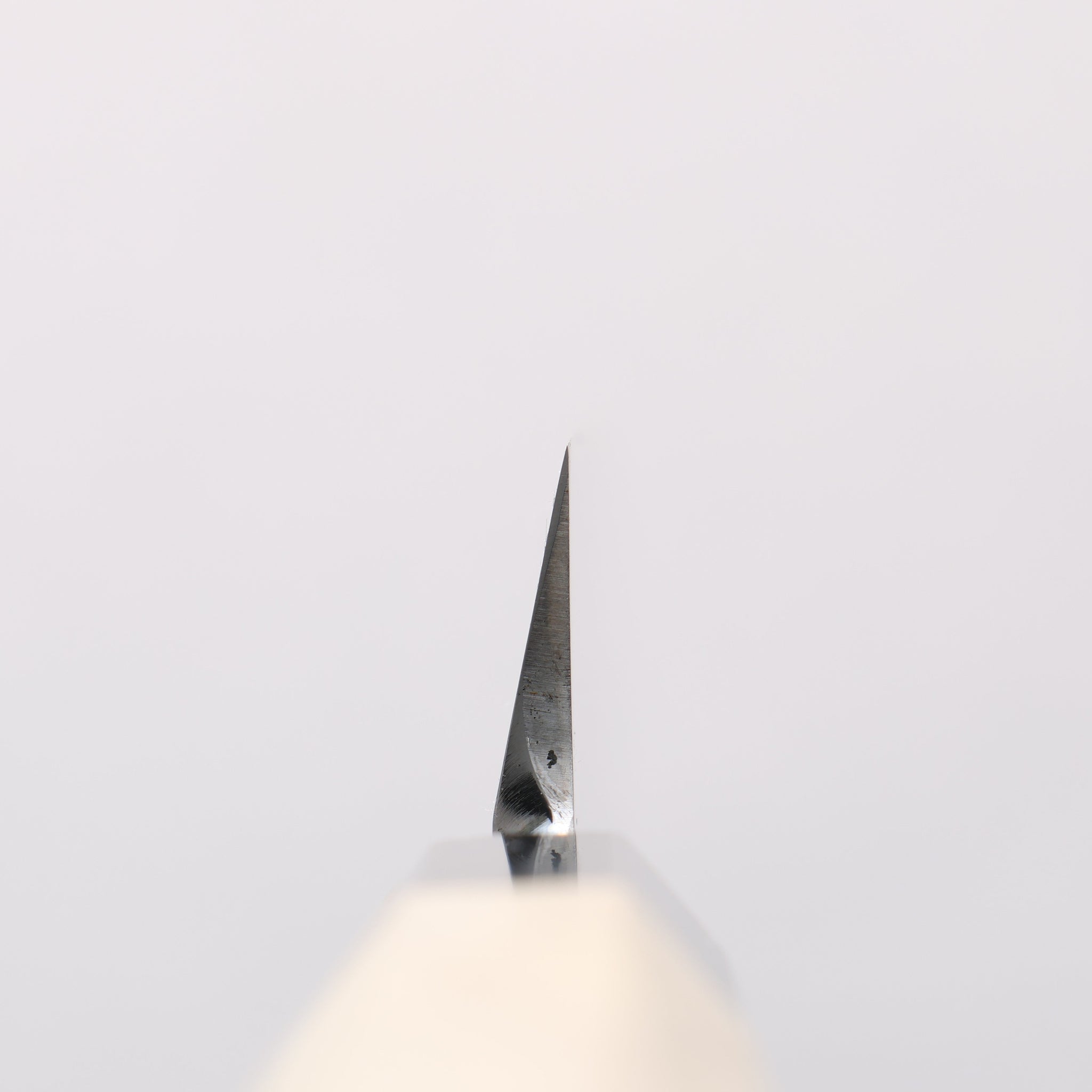 堺 孝行 青ニ鋼 鏡面仕上げ 柳刃包丁 - 清助刃物