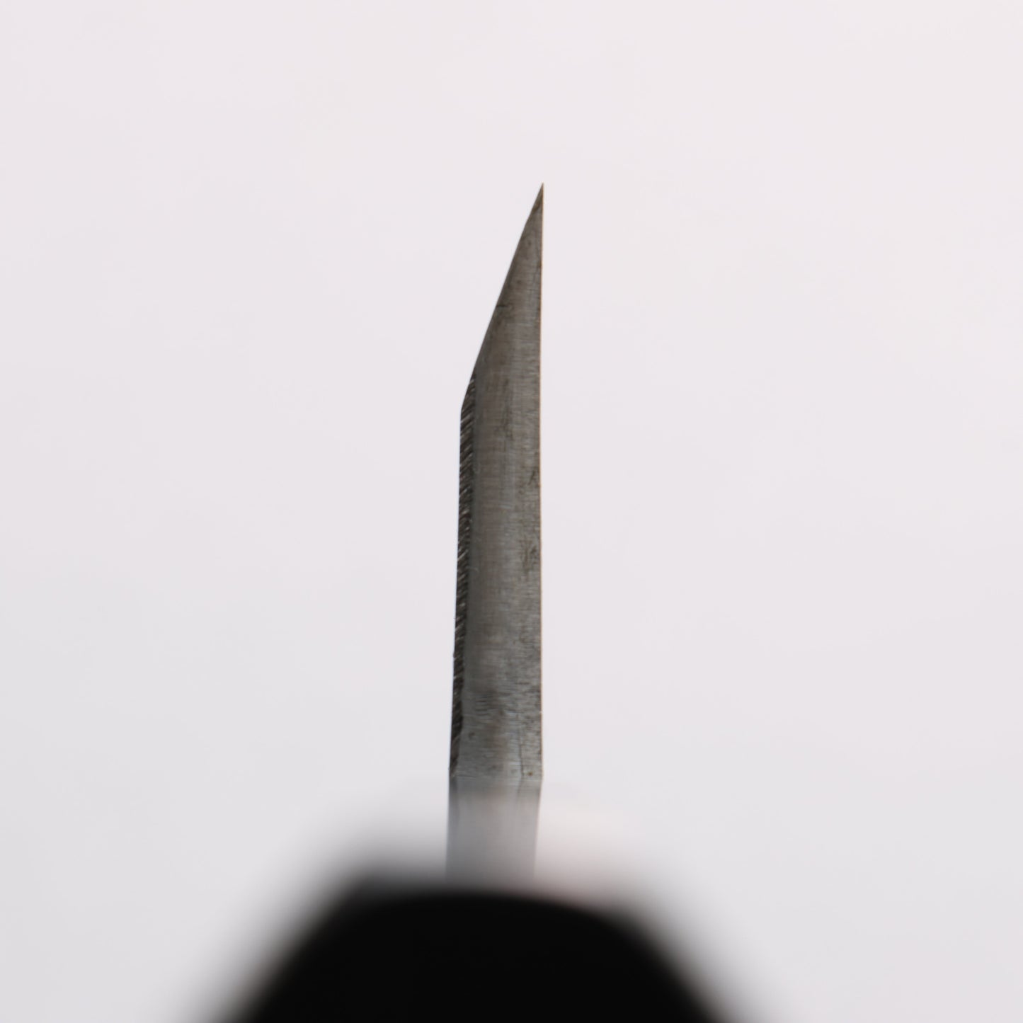 源 昭忠 青ニ鋼 相出刃 180mm 黒檀 (口輪：黒水牛)柄 - 清助刃物