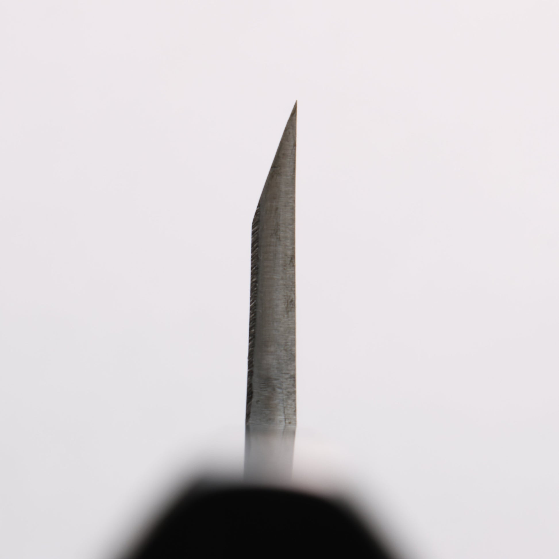 源 昭忠 青ニ鋼 相出刃 180mm 黒檀 (口輪：黒水牛)柄 - 清助刃物