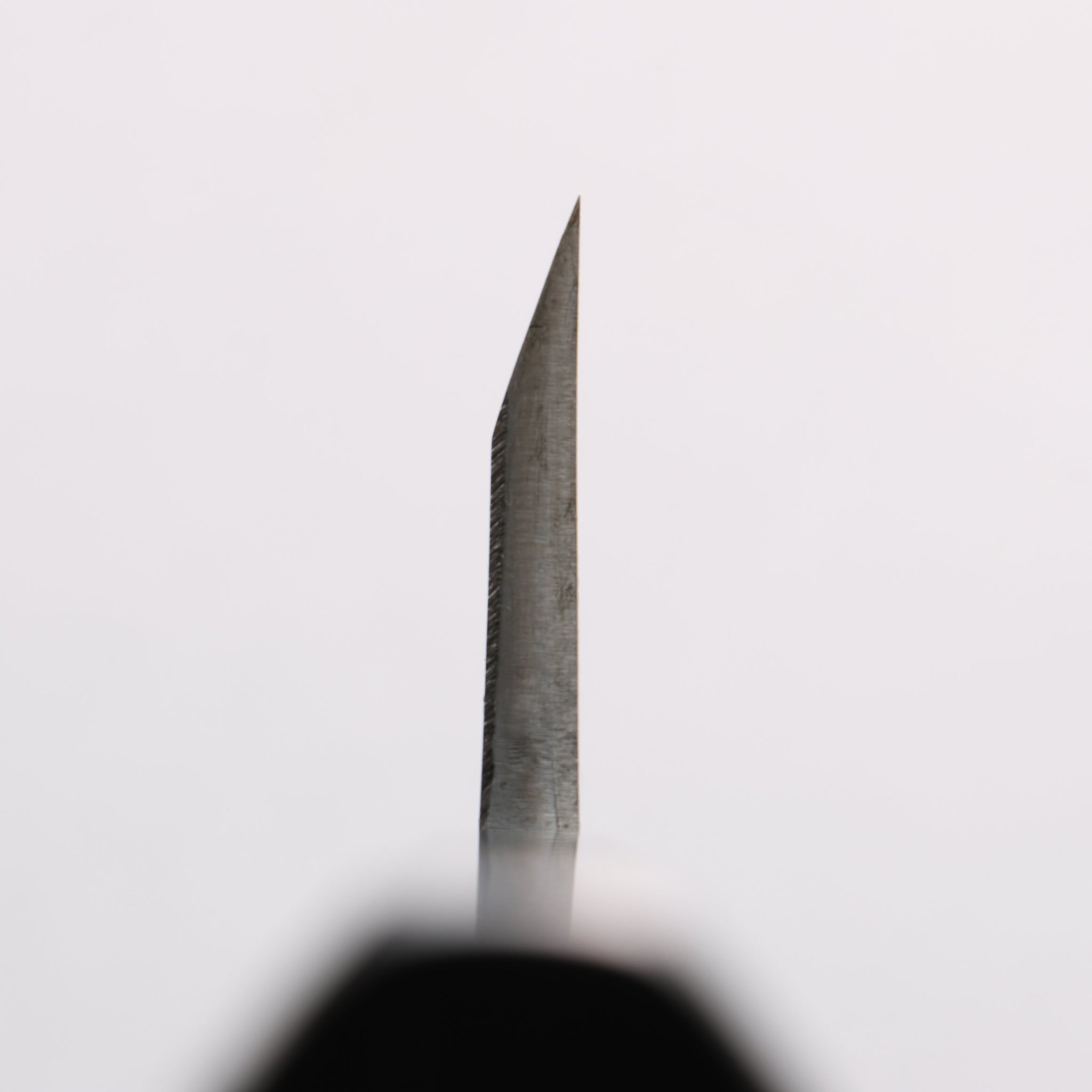 源 昭忠 青ニ鋼 相出刃 180mm 黒檀 (口輪：黒水牛)柄 - 清助刃物