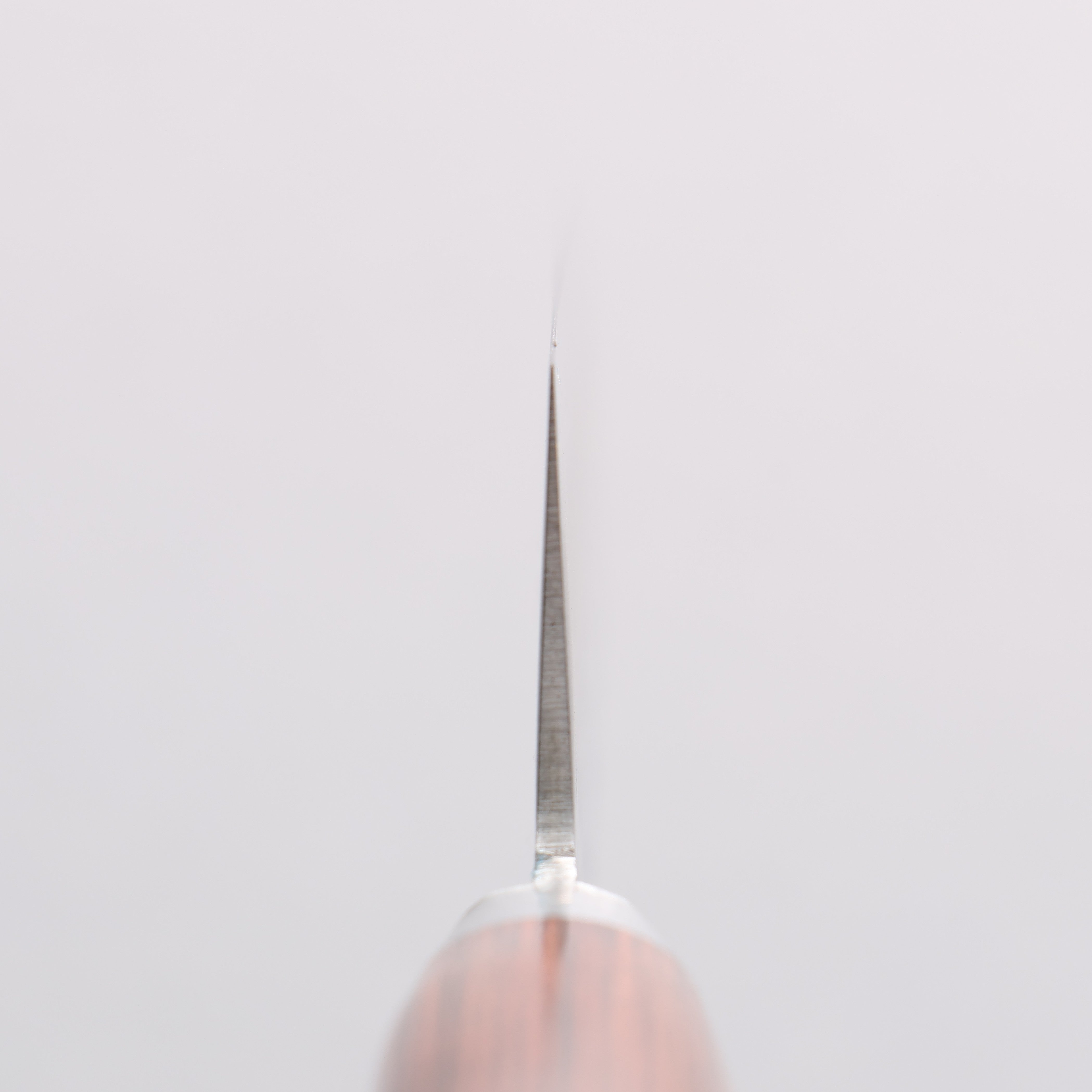 清助 V金10号 鎚目 牛刀包丁 180mm マホガニー柄 - 清助刃物