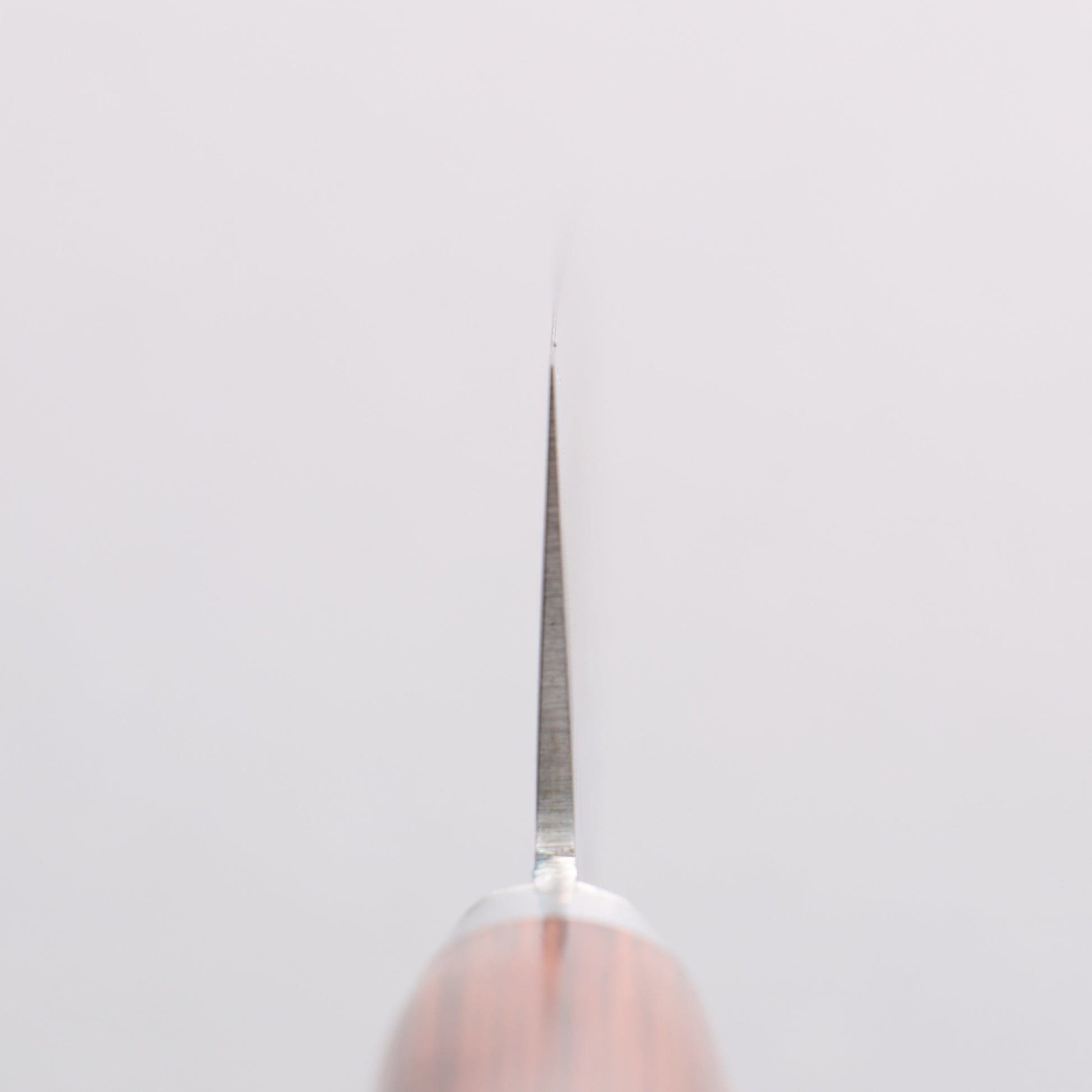 清助 V金10号 鎚目 牛刀包丁 180mm マホガニー柄 - 清助刃物