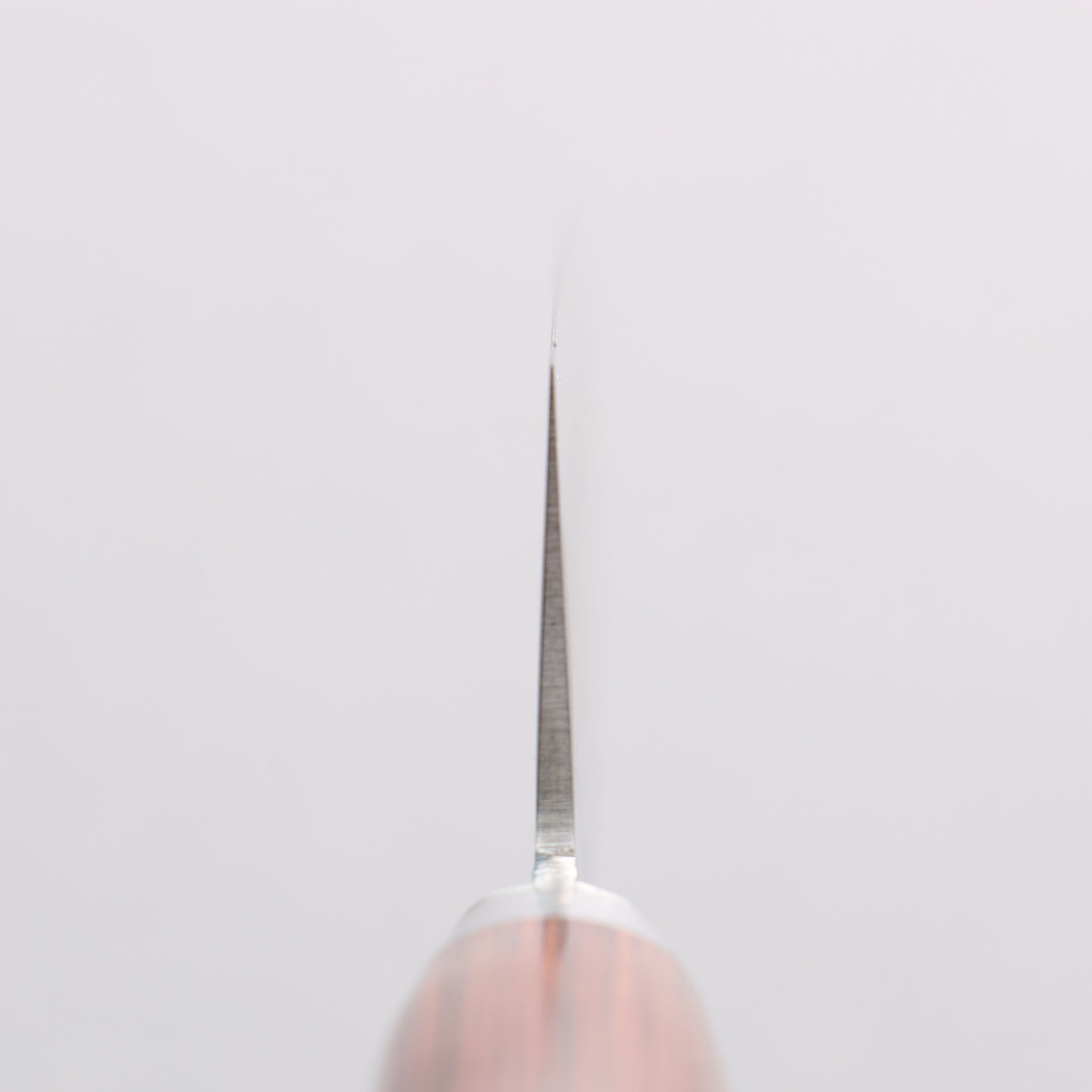 清助 V金10号 鎚目 牛刀包丁 180mm マホガニー柄 - 清助刃物