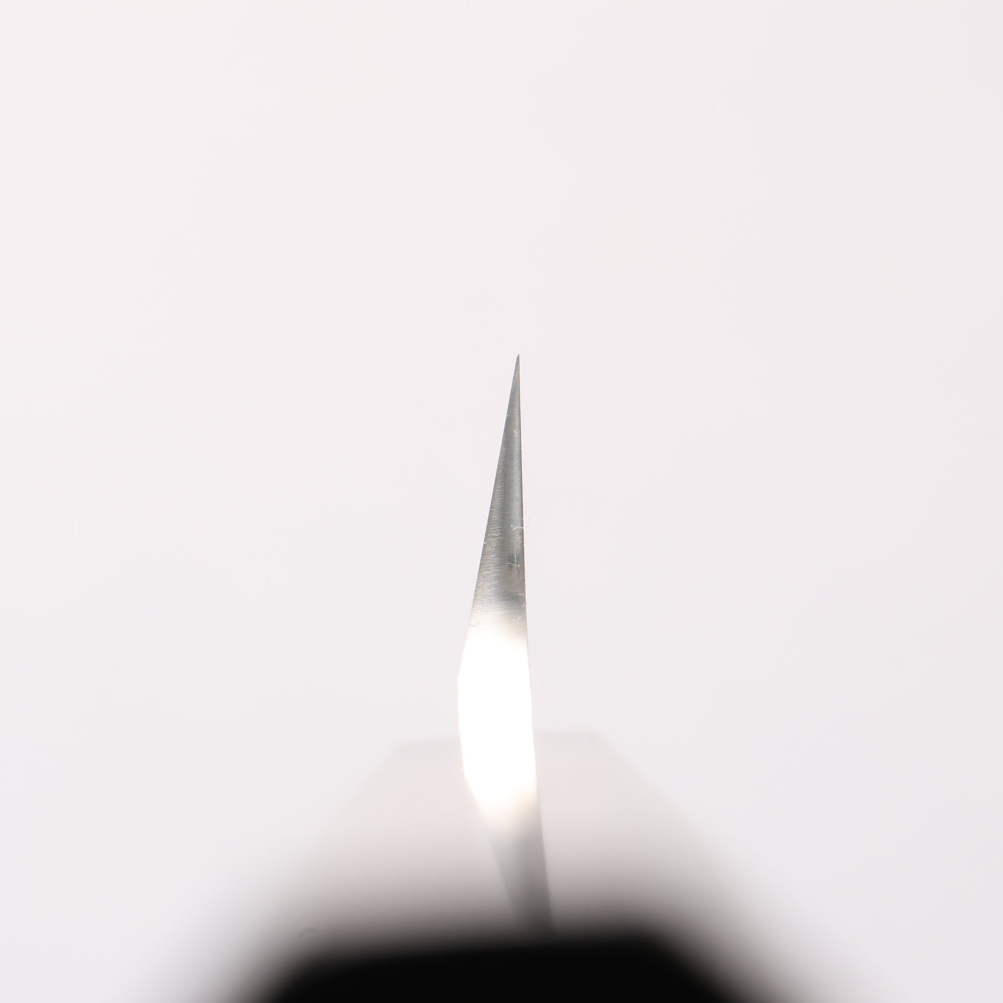 堺 孝行 本焼 V金10号 龍の彫刻入り 先丸柳刃包丁 300mm ウエンジ柄 鞘付き - 清助刃物