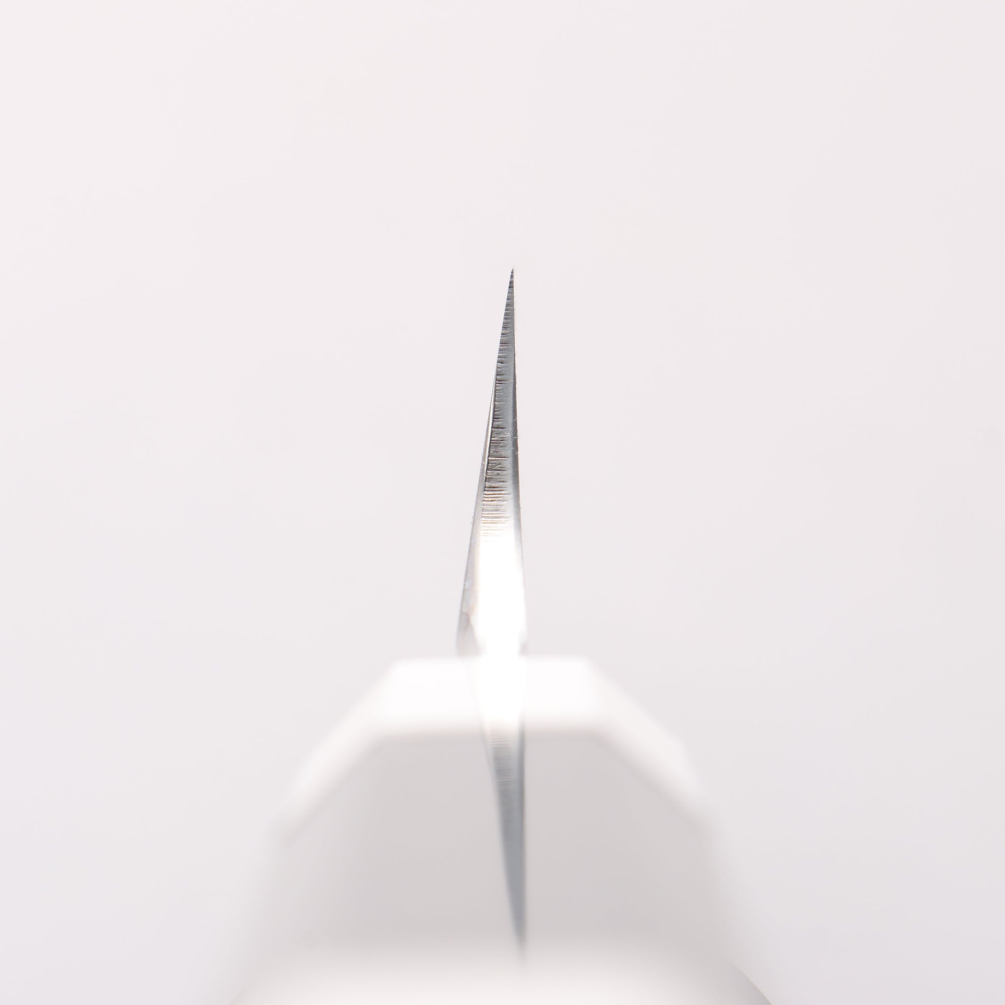 堺 孝行 真打 水本焼 白ニ鋼 鏡面仕上げ 切付柳刃包丁 300mm 鞘付き - 清助刃物