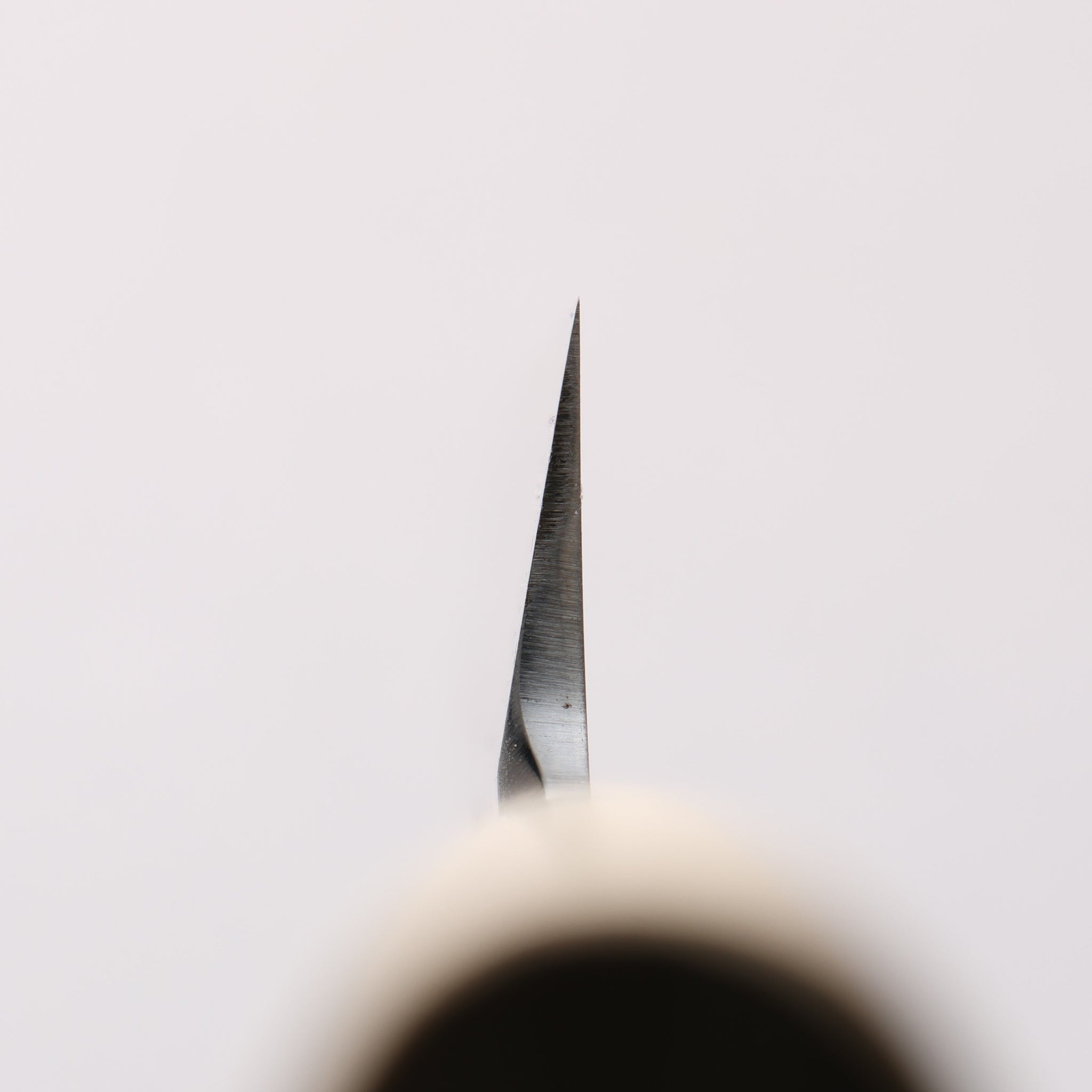 堺 孝行 特上 白ニ鋼 切付包丁 240mm 朴柄 - 清助刃物