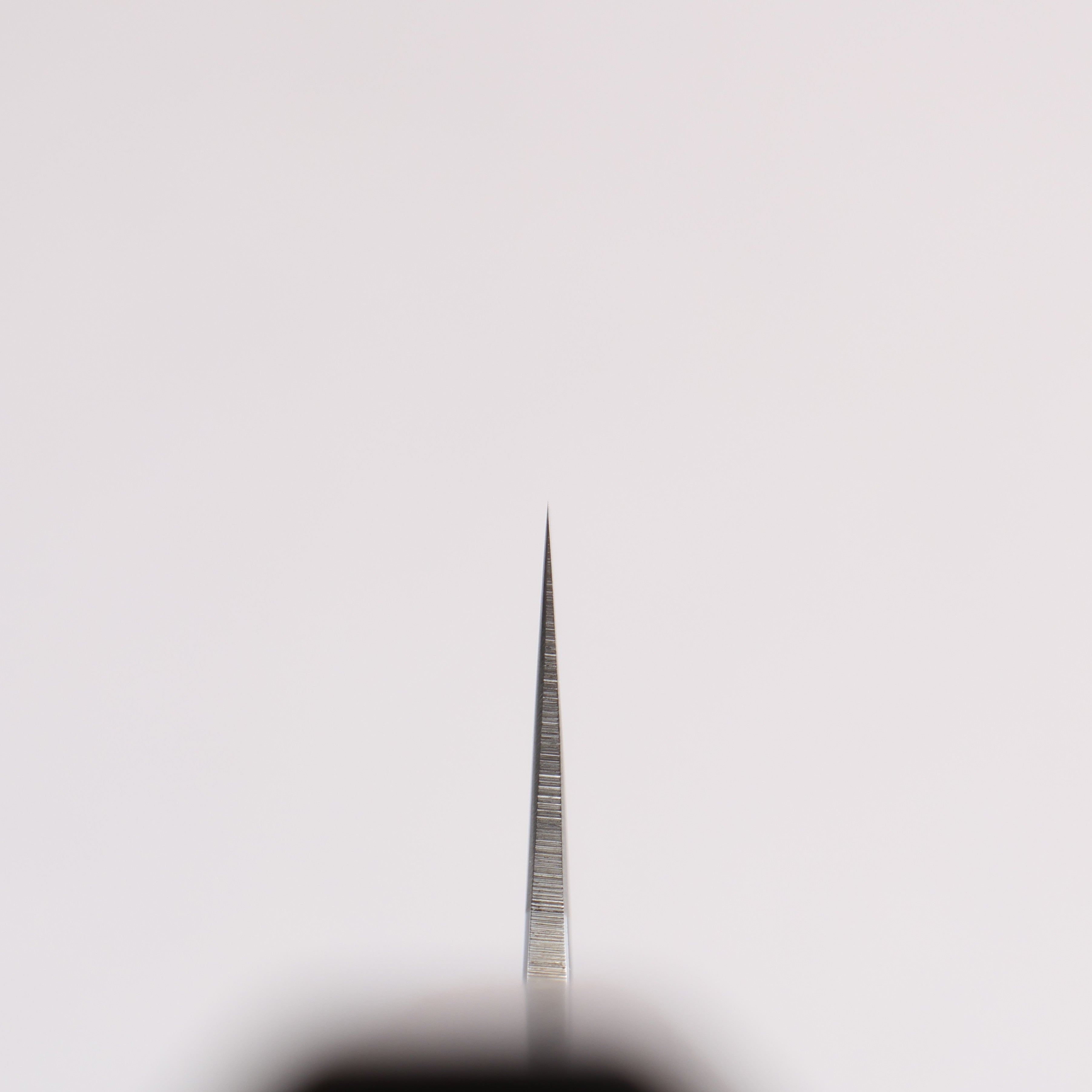 黒鳥 銀三鋼 磨き仕上げ 筋引包丁 210mm ウォルナット柄 - 清助刃物