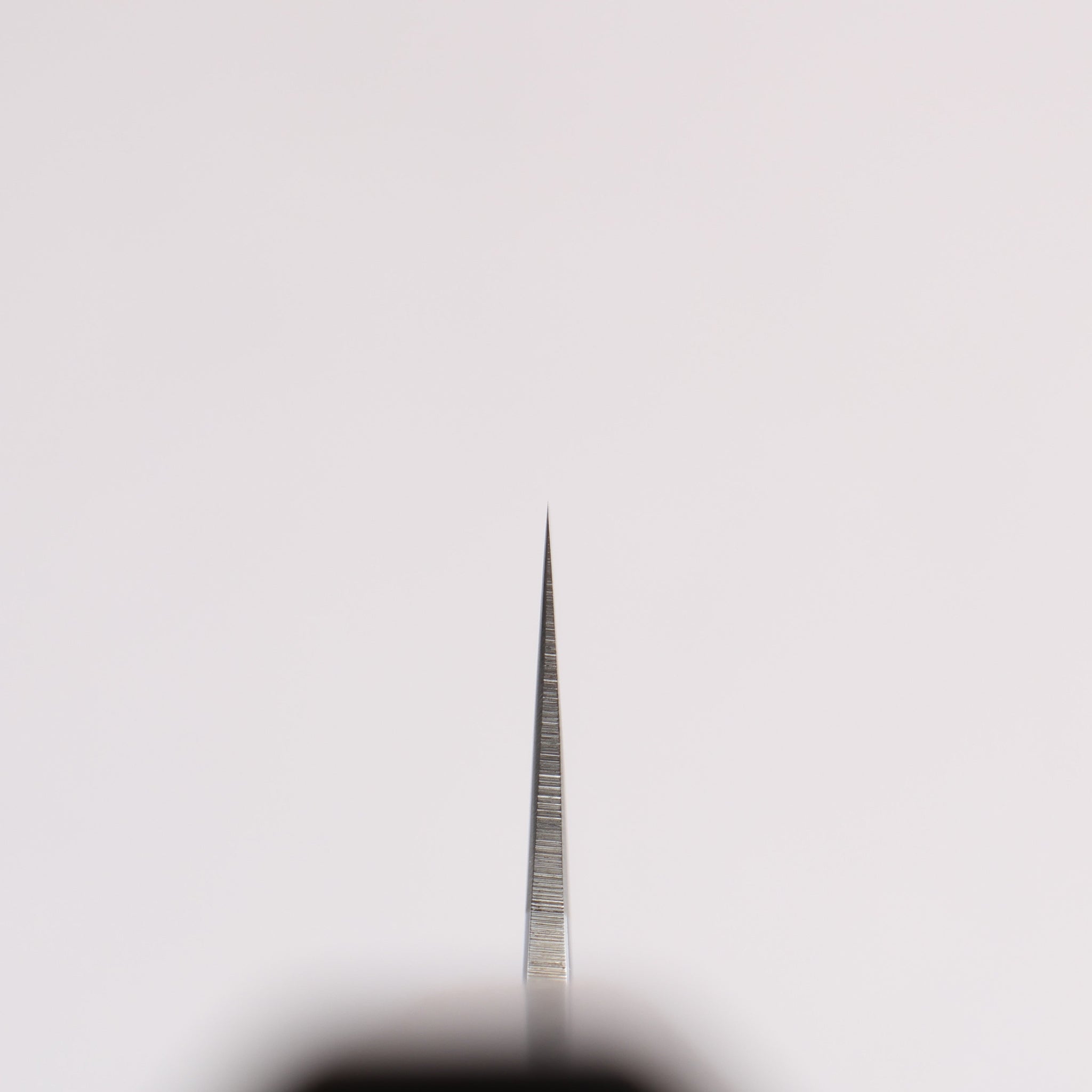 黒鳥 銀三鋼 磨き仕上げ 筋引包丁 210mm ウォルナット柄 - 清助刃物
