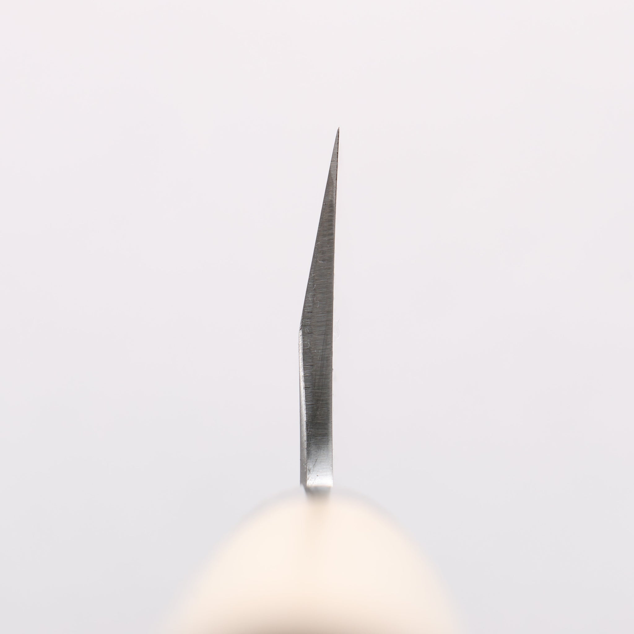 堺 孝行 特上 白ニ鋼 牛刀包丁 240mm 朴柄 - 清助刃物