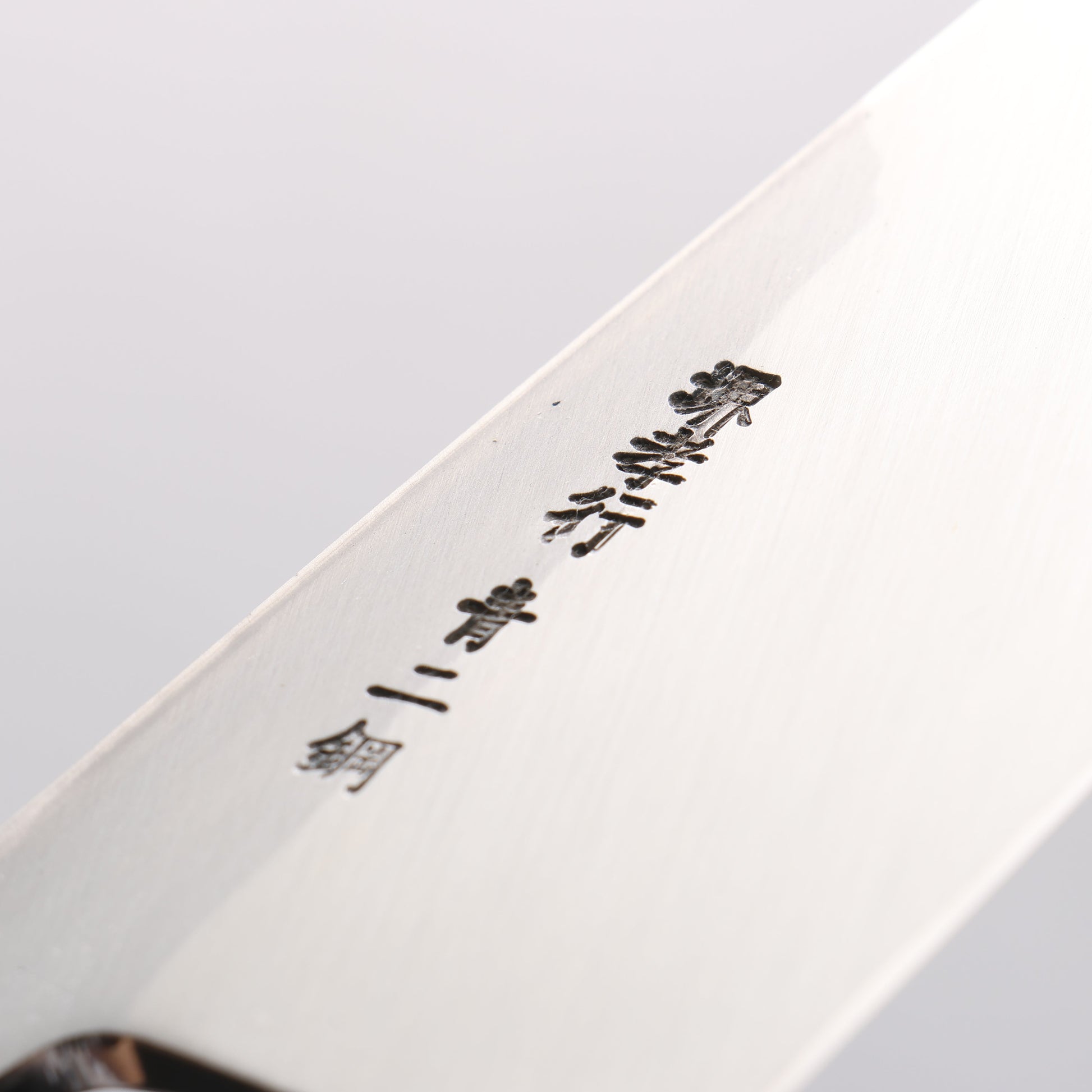 Sakai Takayuki [Left Handed] Blue Steel No.2 Deba - Japanny - Best Japanese Knife